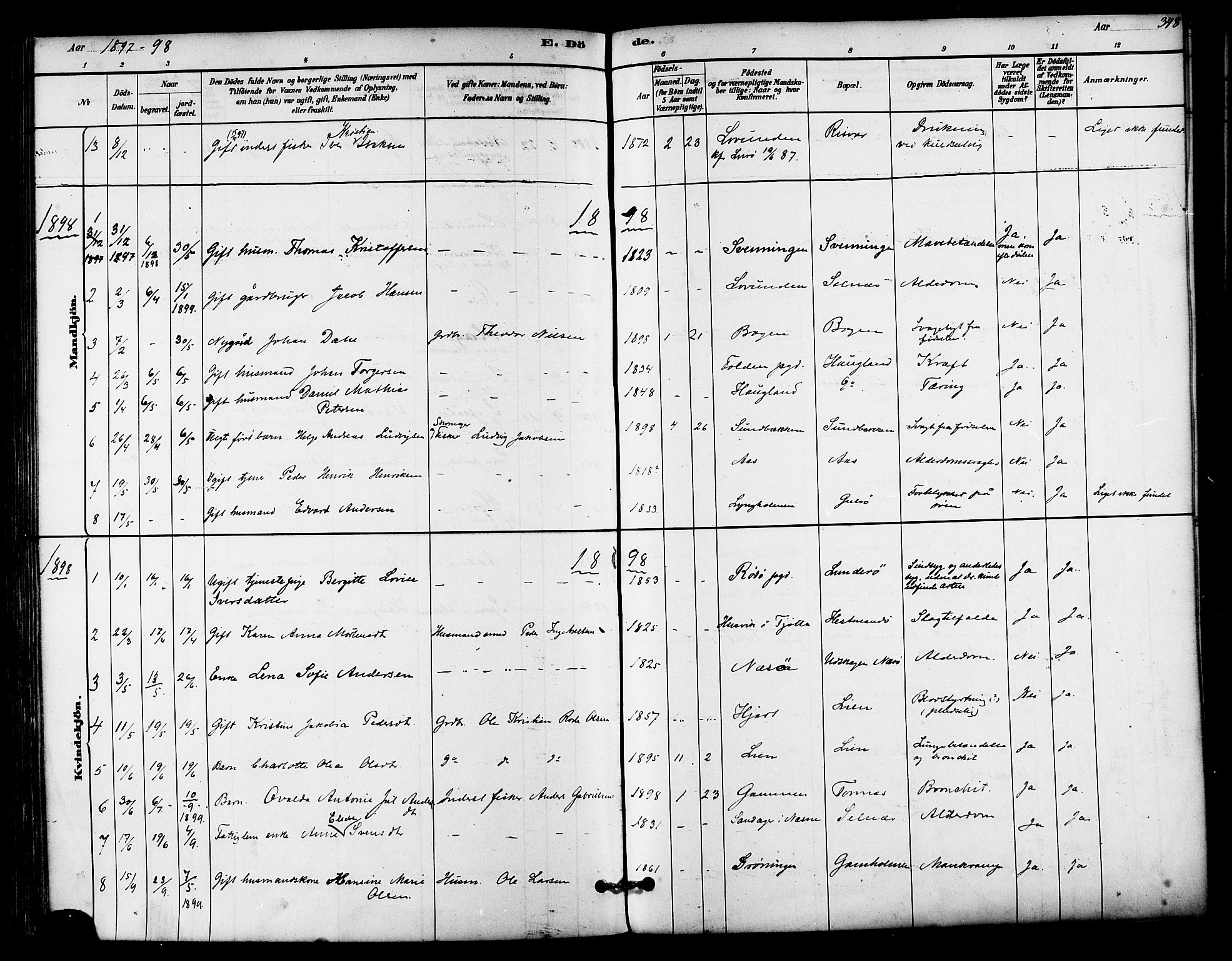 Ministerialprotokoller, klokkerbøker og fødselsregistre - Nordland, SAT/A-1459/839/L0568: Parish register (official) no. 839A05, 1880-1902, p. 348