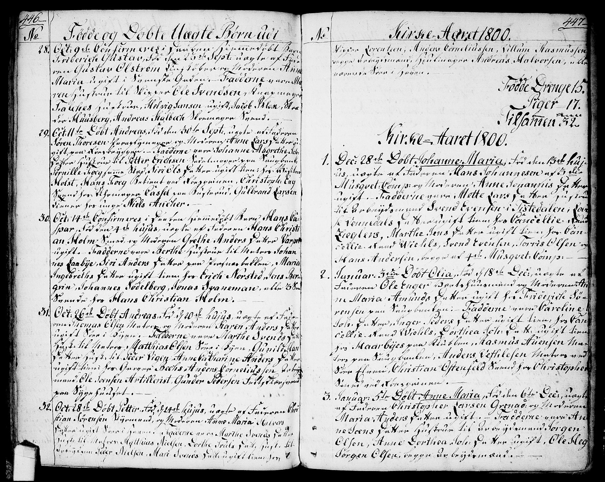 Halden prestekontor Kirkebøker, SAO/A-10909/F/Fa/L0002: Parish register (official) no. I 2, 1792-1812, p. 446-447