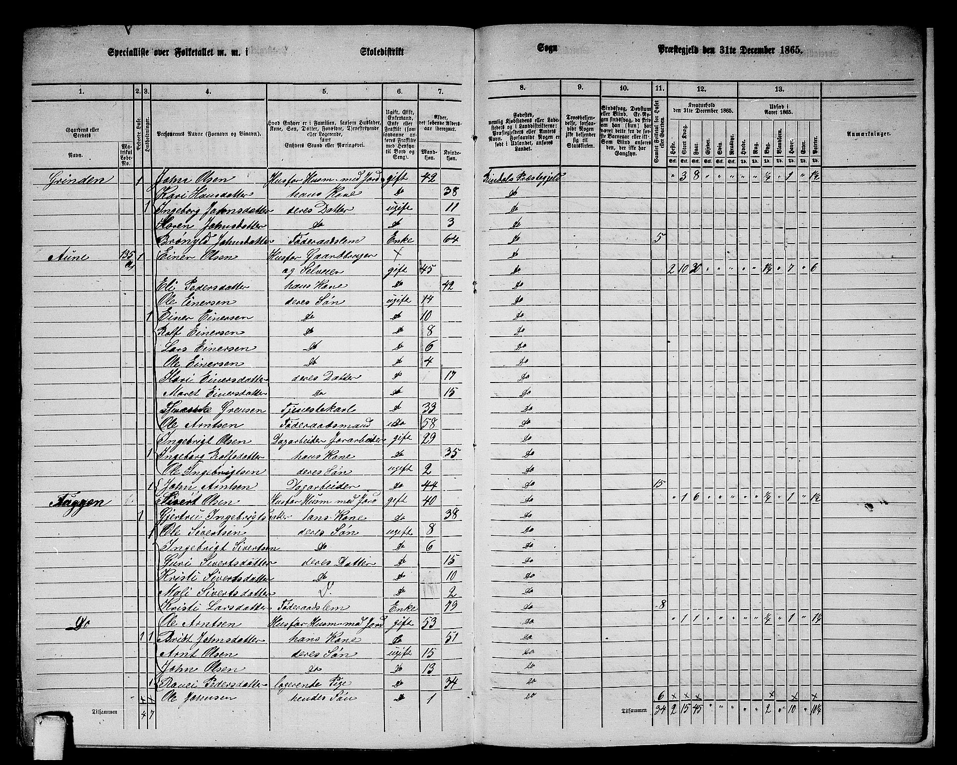 RA, 1865 census for Rindal, 1865, p. 109