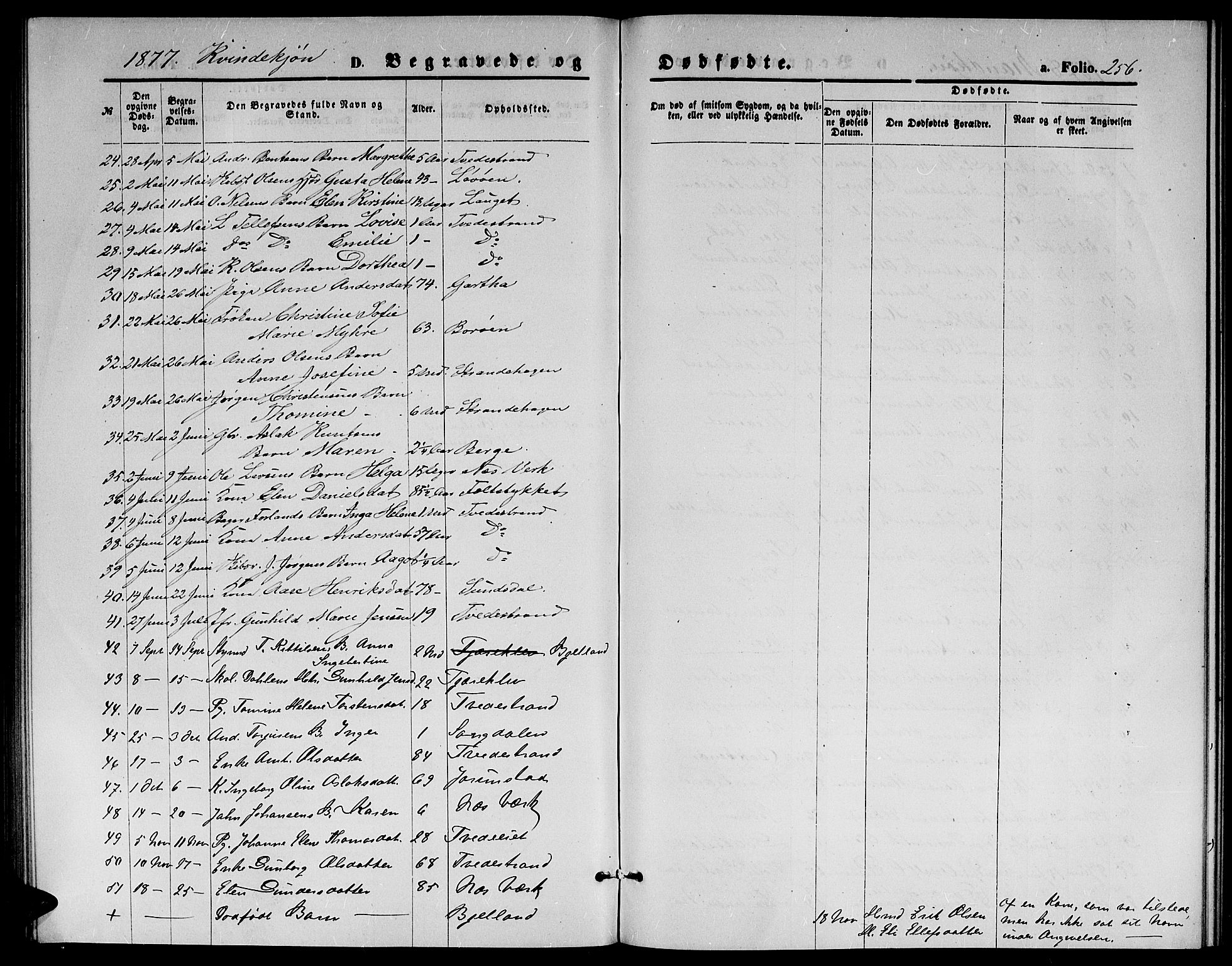 Holt sokneprestkontor, SAK/1111-0021/F/Fb/L0009: Parish register (copy) no. B 9, 1871-1883, p. 256