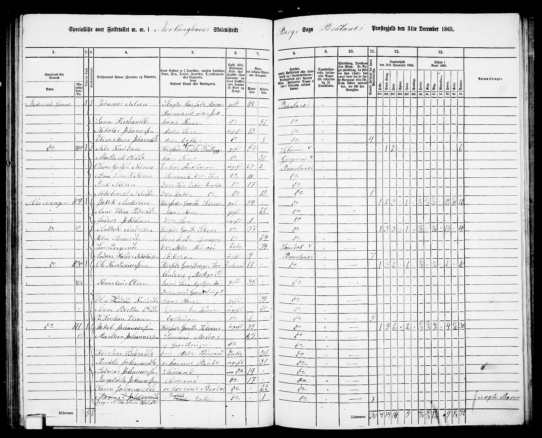 RA, 1865 census for Brunlanes, 1865, p. 141