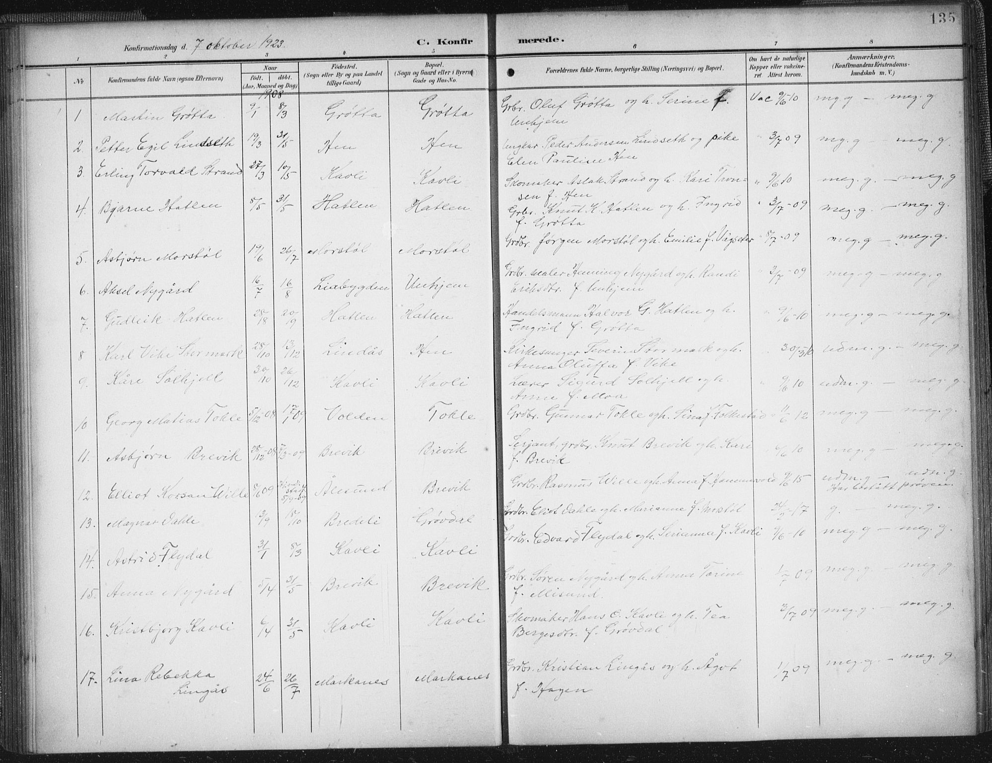 Ministerialprotokoller, klokkerbøker og fødselsregistre - Møre og Romsdal, AV/SAT-A-1454/545/L0589: Parish register (copy) no. 545C03, 1902-1937, p. 135