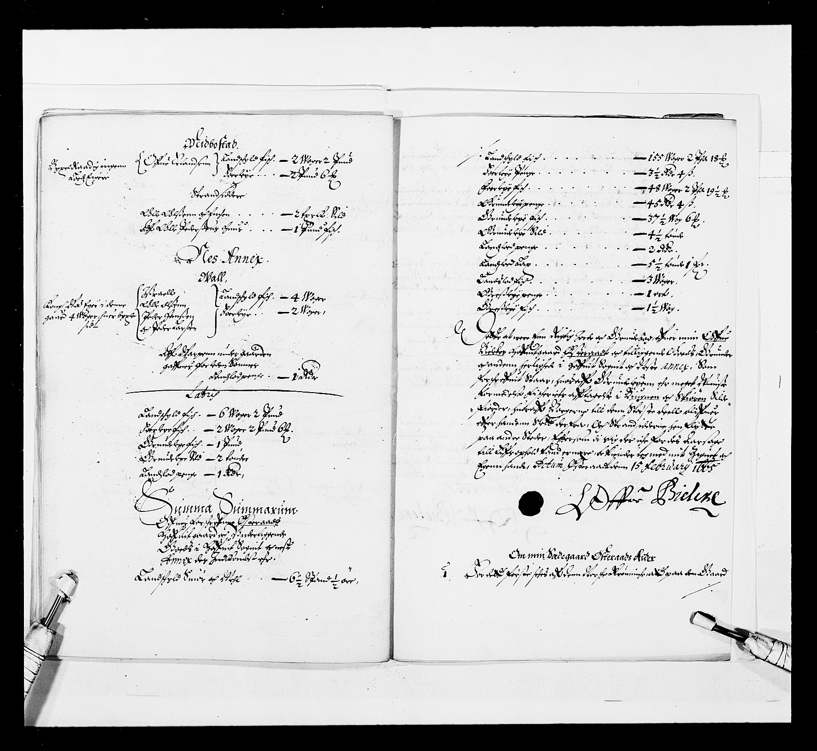 Stattholderembetet 1572-1771, AV/RA-EA-2870/Ek/L0032/0002: Jordebøker 1662-1720: / Adelsjordebøker, 1665, p. 72