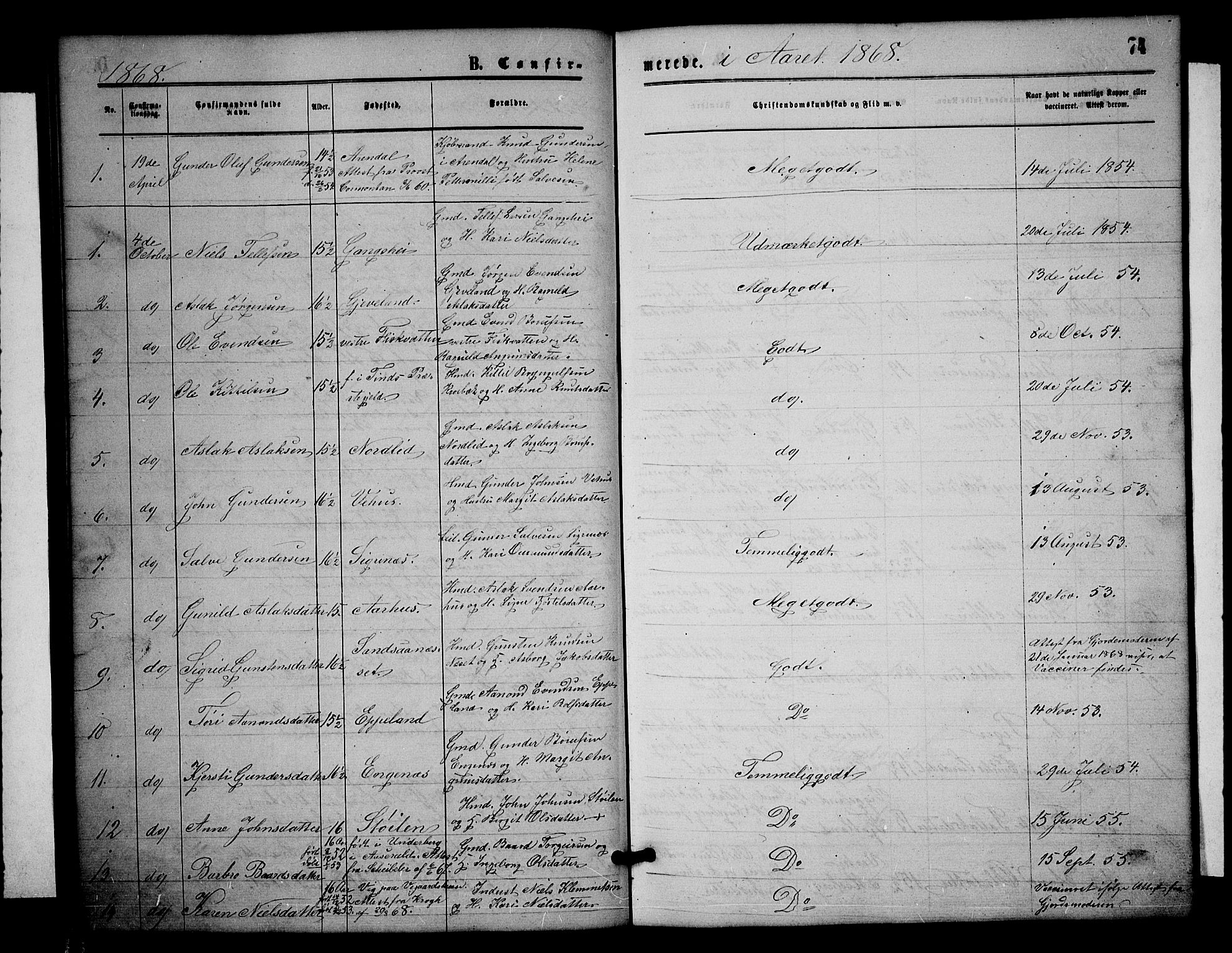 Åmli sokneprestkontor, SAK/1111-0050/F/Fb/Fbc/L0003: Parish register (copy) no. B 3, 1868-1888, p. 74