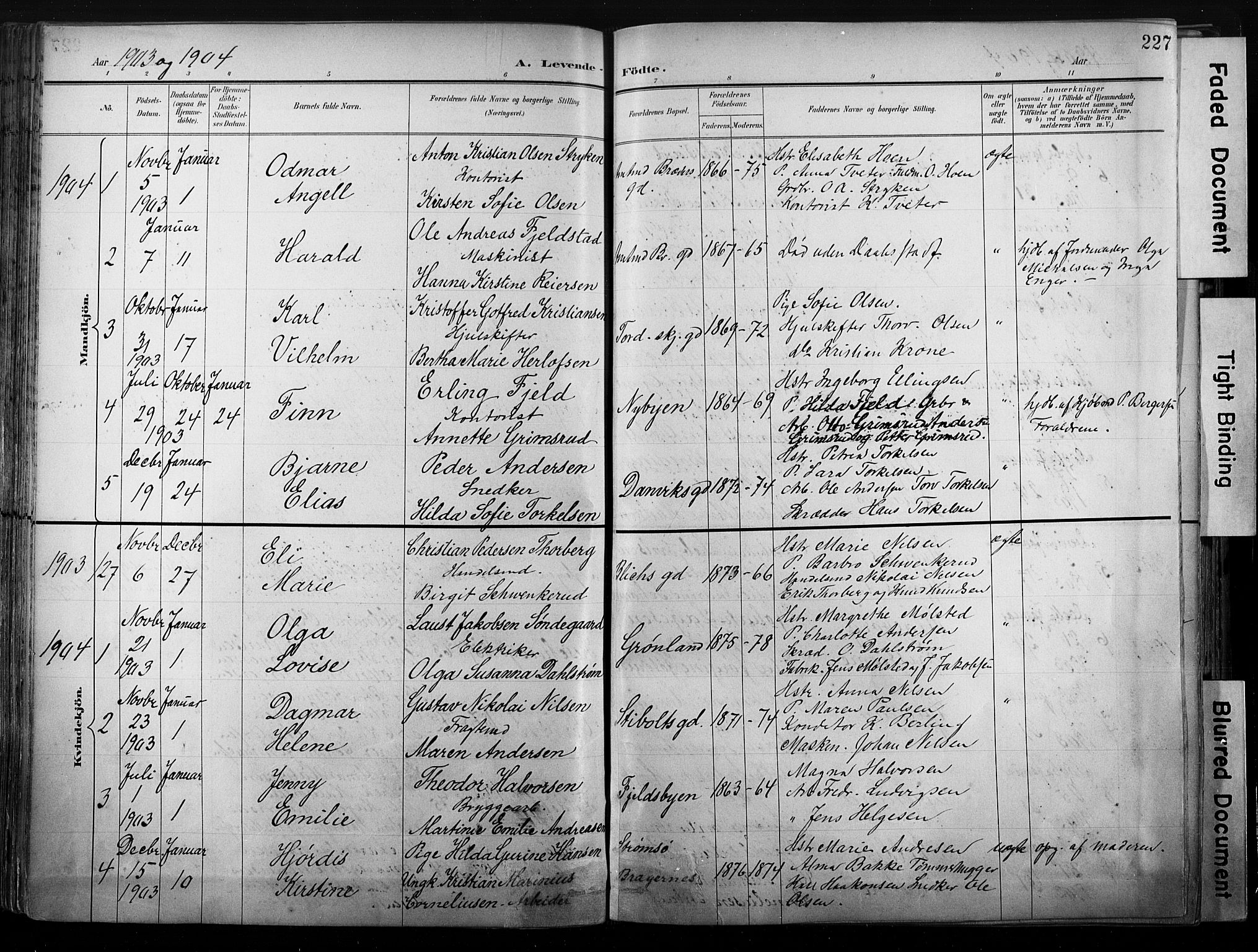 Strømsø kirkebøker, SAKO/A-246/G/Ga/L0003: Parish register (copy) no. 3, 1894-1904, p. 227