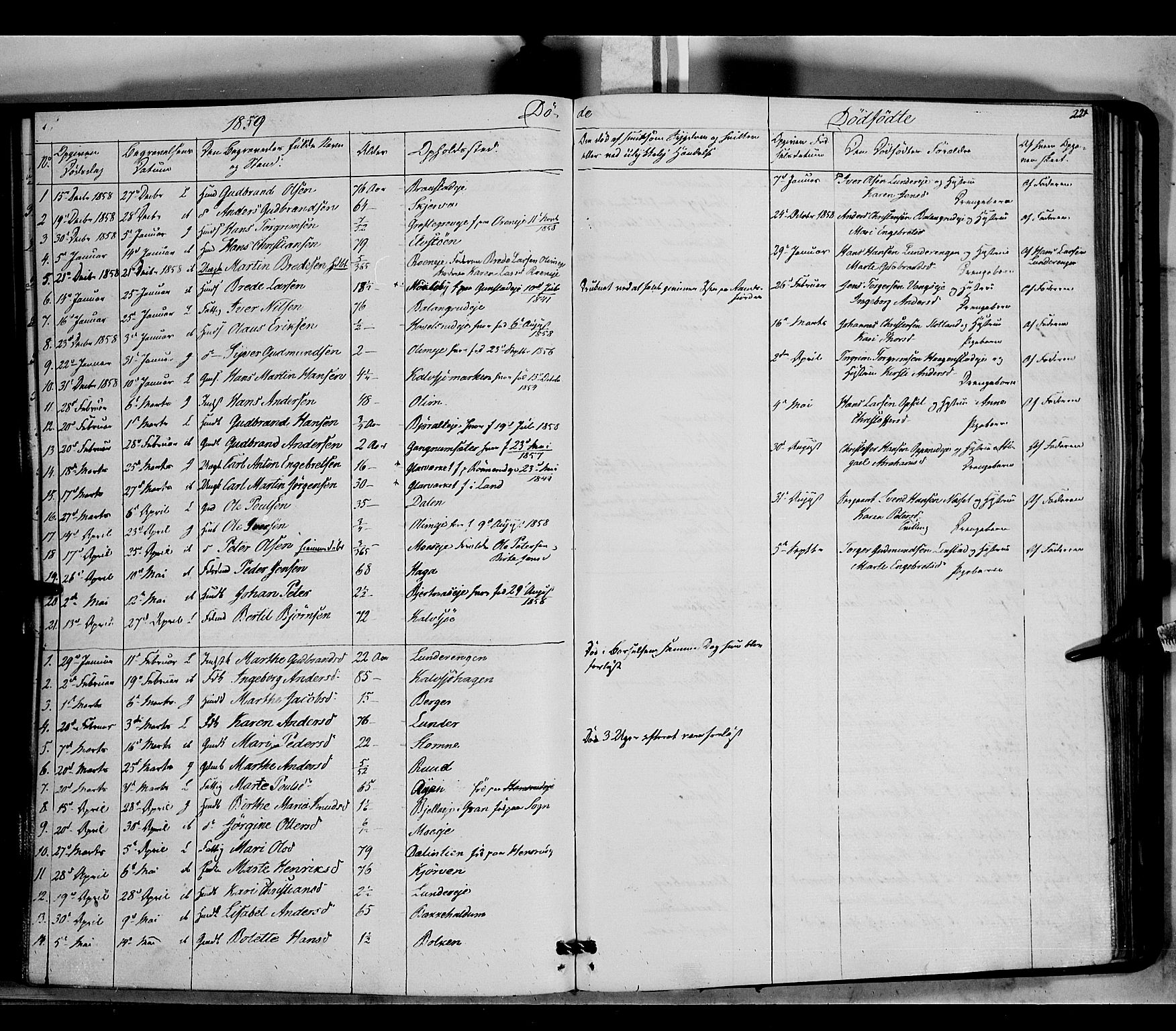 Jevnaker prestekontor, SAH/PREST-116/H/Ha/Haa/L0007: Parish register (official) no. 7, 1858-1876, p. 221