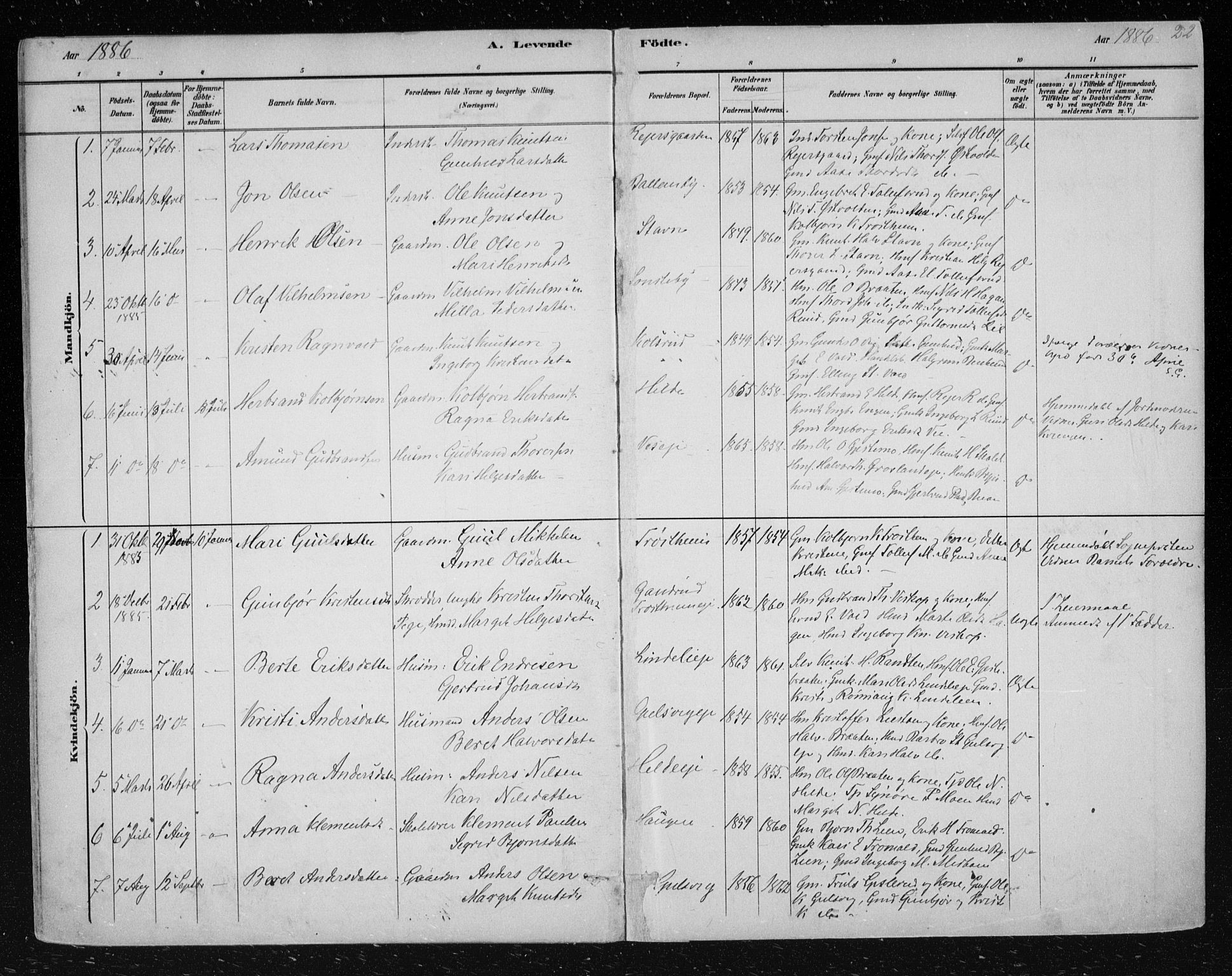 Nes kirkebøker, SAKO/A-236/F/Fa/L0012: Parish register (official) no. 12, 1881-1917, p. 22