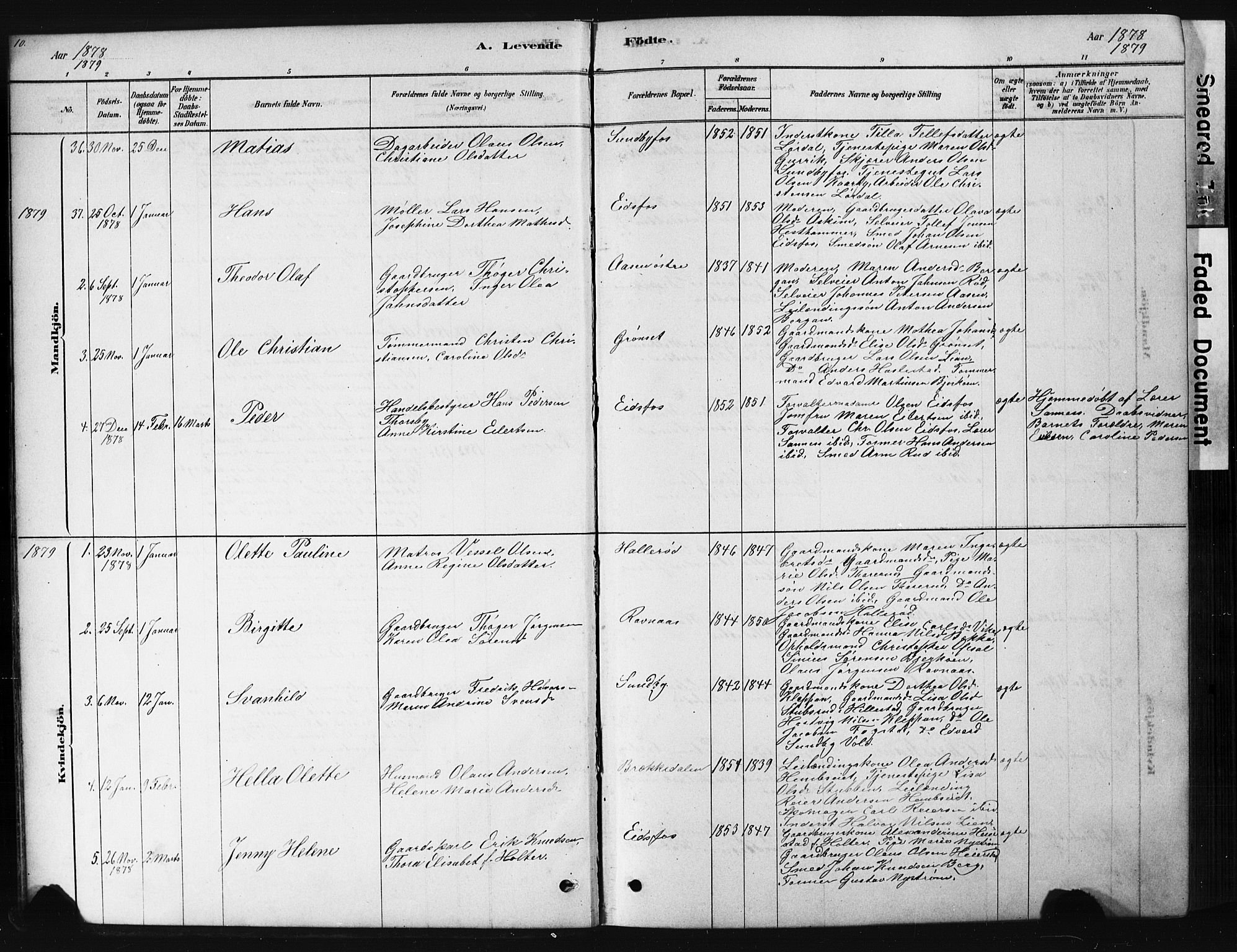 Hof kirkebøker, AV/SAKO-A-64/G/Ga/L0004: Parish register (copy) no. I 4, 1878-1930, p. 10