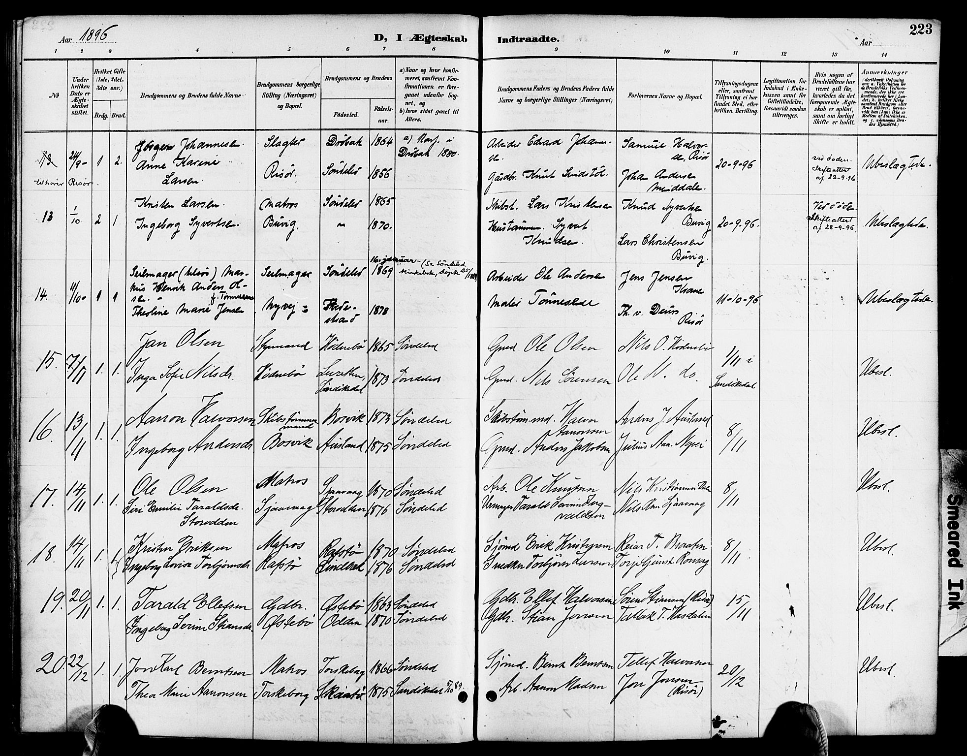 Søndeled sokneprestkontor, SAK/1111-0038/F/Fa/L0005: Parish register (official) no. A 5, 1889-1899, p. 223