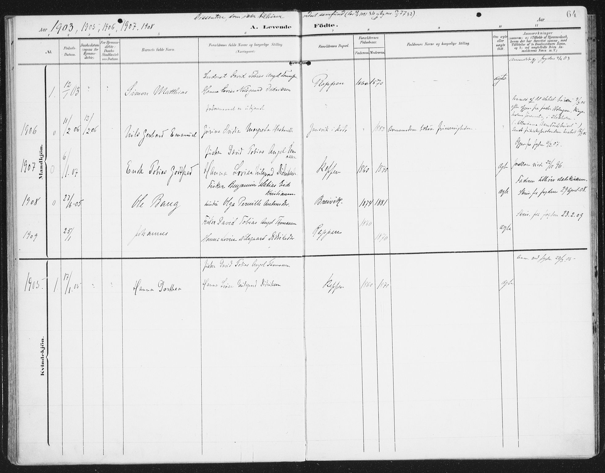 Ministerialprotokoller, klokkerbøker og fødselsregistre - Nordland, AV/SAT-A-1459/841/L0612: Parish register (official) no. 841A15, 1902-1910, p. 64