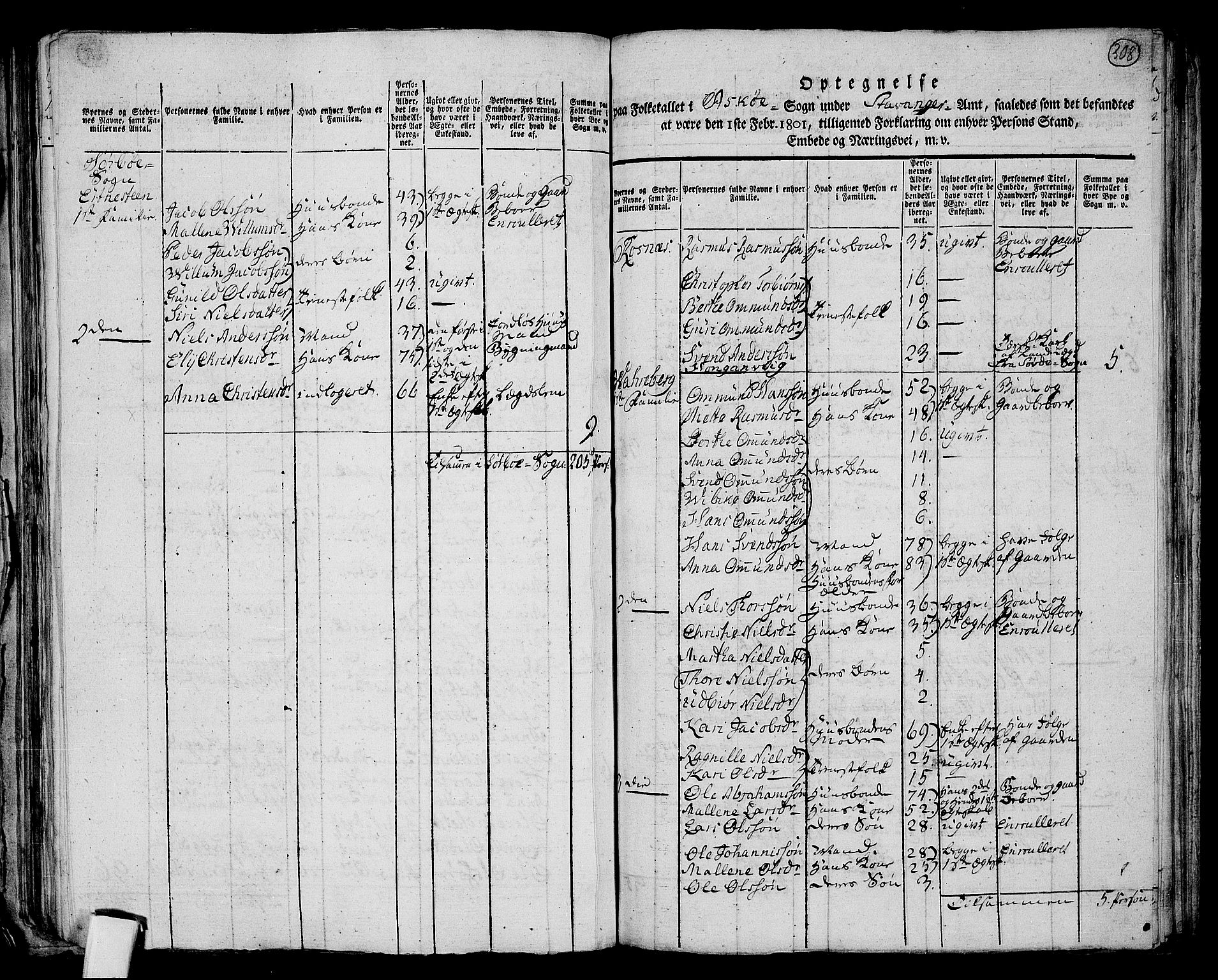 RA, 1801 census for 1142P Rennesøy, 1801, p. 307b-308a