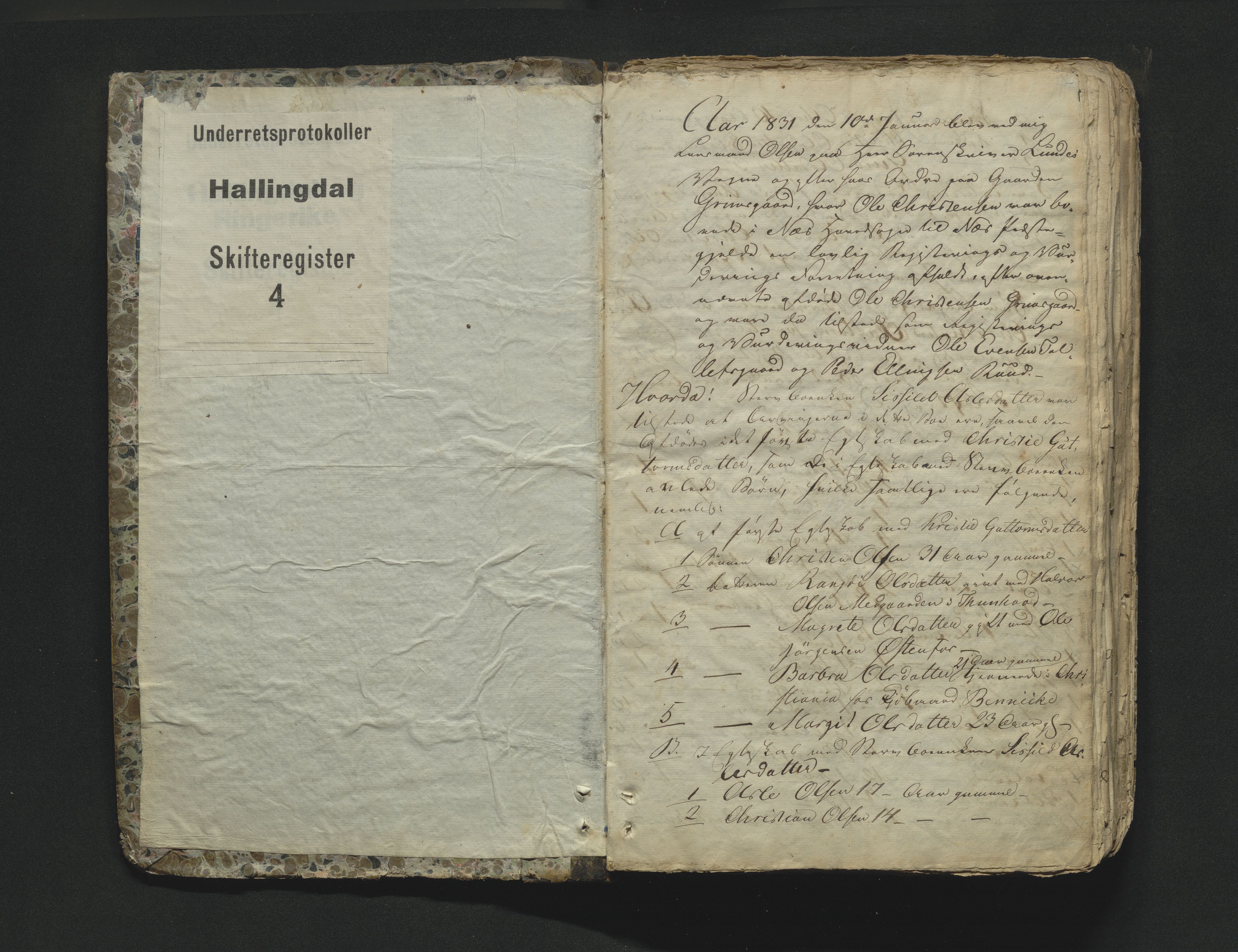 Hallingdal sorenskriveri, AV/SAKO-A-121/H/Hb/Hbb/Hbba/L0004: Skifteregistreringsprotokoll, Sorenskriveriet, 1831