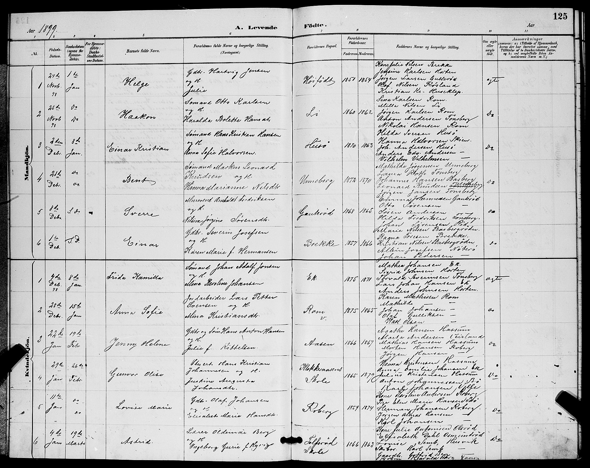 Sem kirkebøker, AV/SAKO-A-5/G/Gb/L0002: Parish register (copy) no. II 2, 1886-1899, p. 125