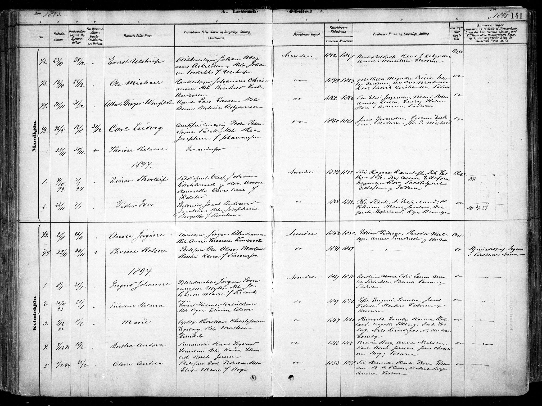 Arendal sokneprestkontor, Trefoldighet, SAK/1111-0040/F/Fa/L0008: Parish register (official) no. A 8, 1878-1899, p. 141