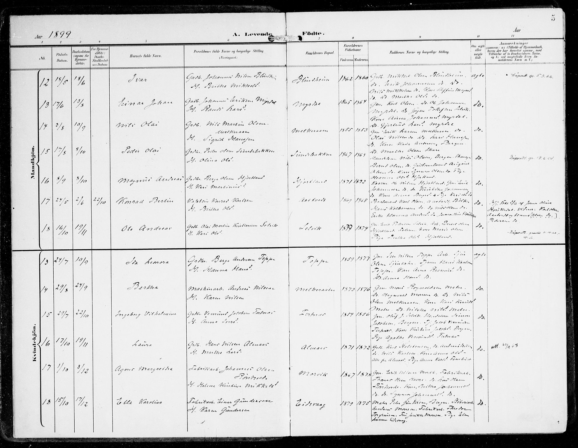 Hamre sokneprestembete, SAB/A-75501/H/Ha/Haa/Haad/L0002: Parish register (official) no. D 2, 1899-1916, p. 5