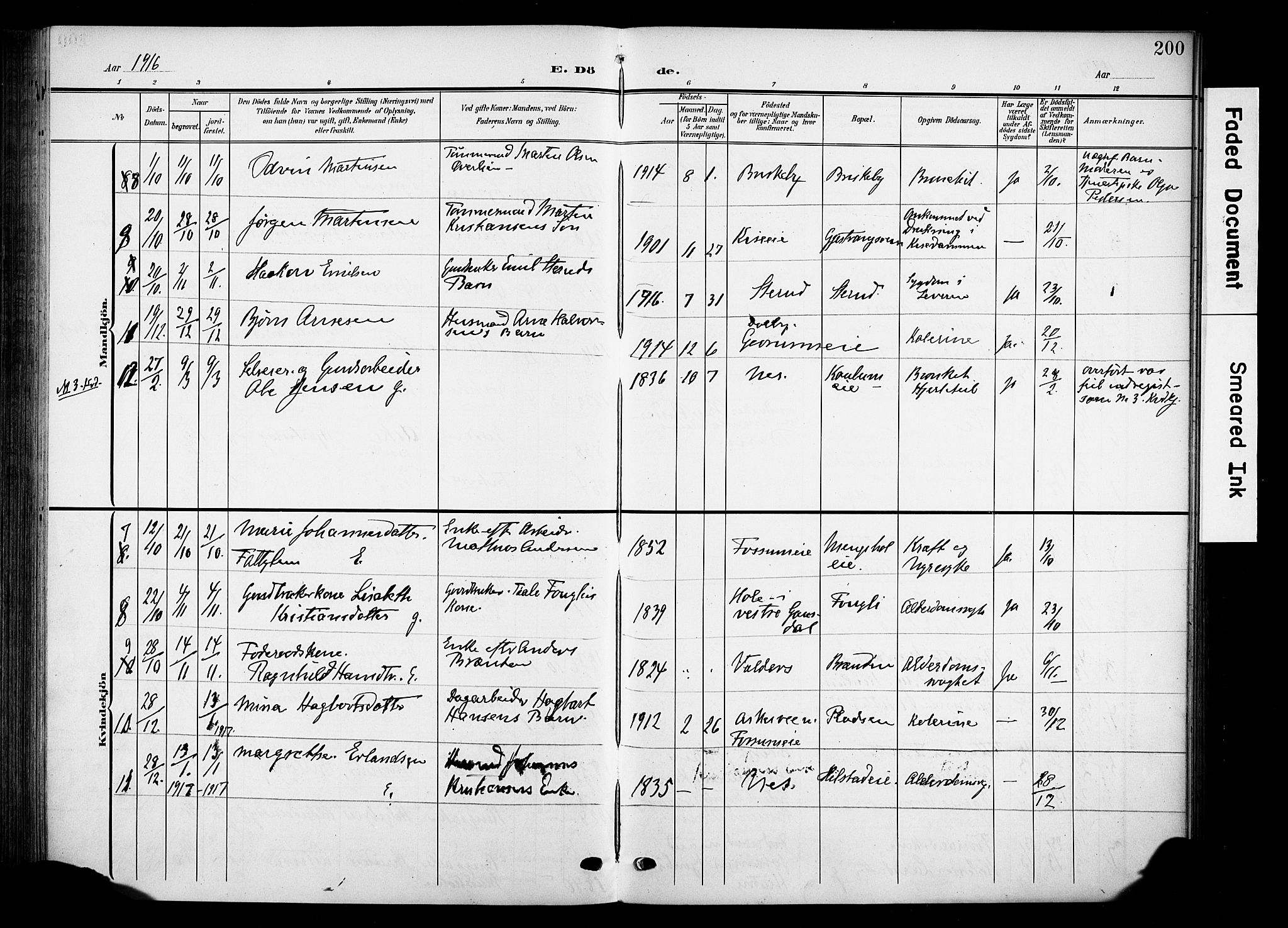 Nes prestekontor, Hedmark, AV/SAH-PREST-020/K/Ka/L0013: Parish register (official) no. 13, 1906-1924, p. 200