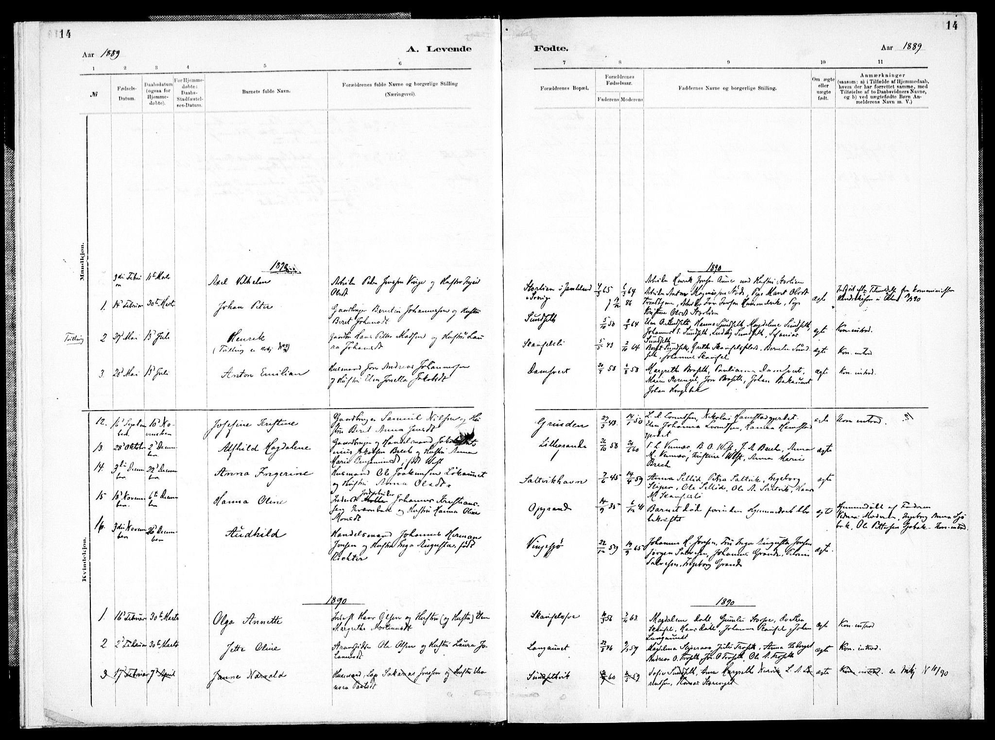 Ministerialprotokoller, klokkerbøker og fødselsregistre - Nord-Trøndelag, SAT/A-1458/733/L0325: Parish register (official) no. 733A04, 1884-1908, p. 14