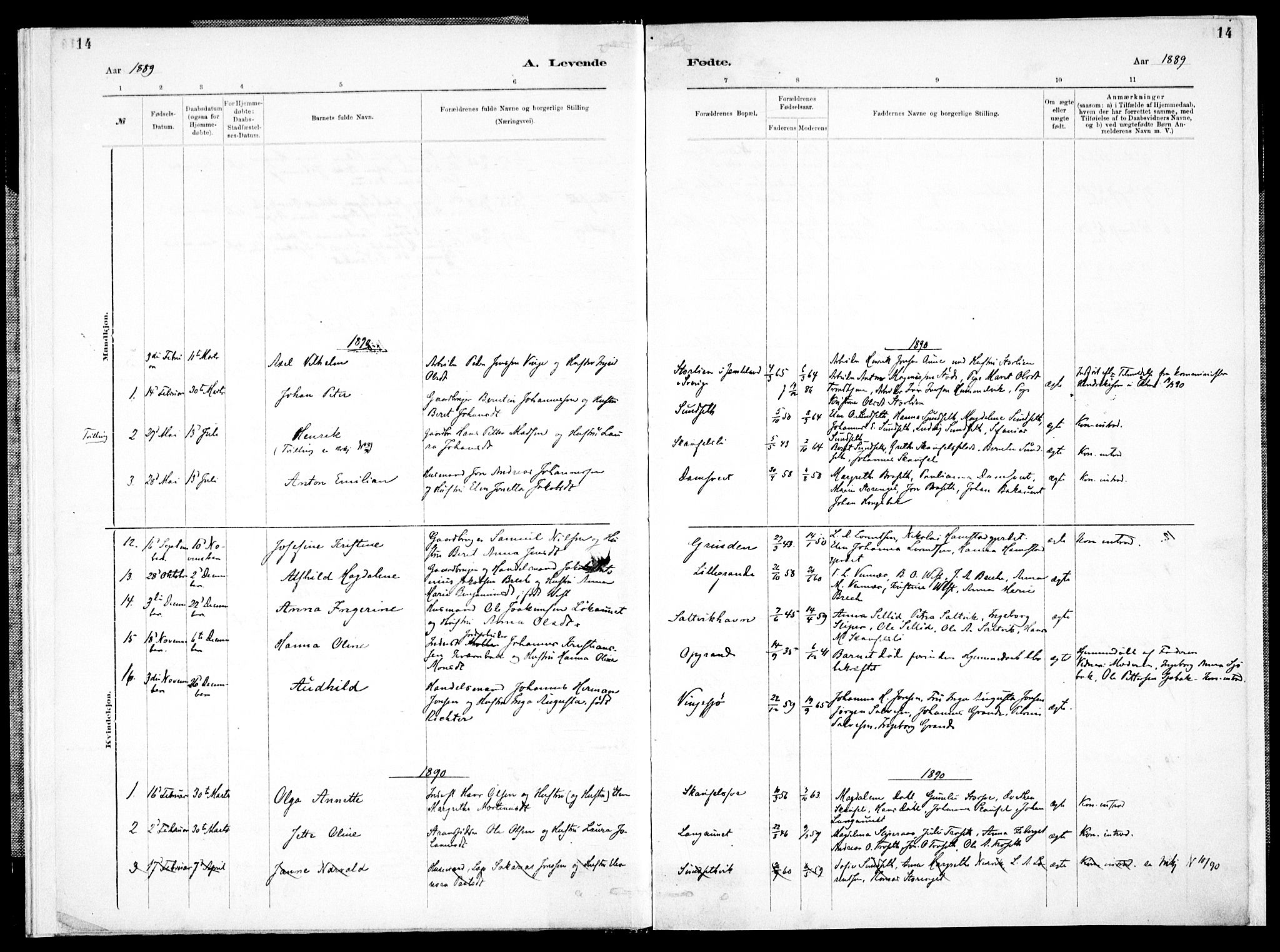 Ministerialprotokoller, klokkerbøker og fødselsregistre - Nord-Trøndelag, AV/SAT-A-1458/733/L0325: Parish register (official) no. 733A04, 1884-1908, p. 14