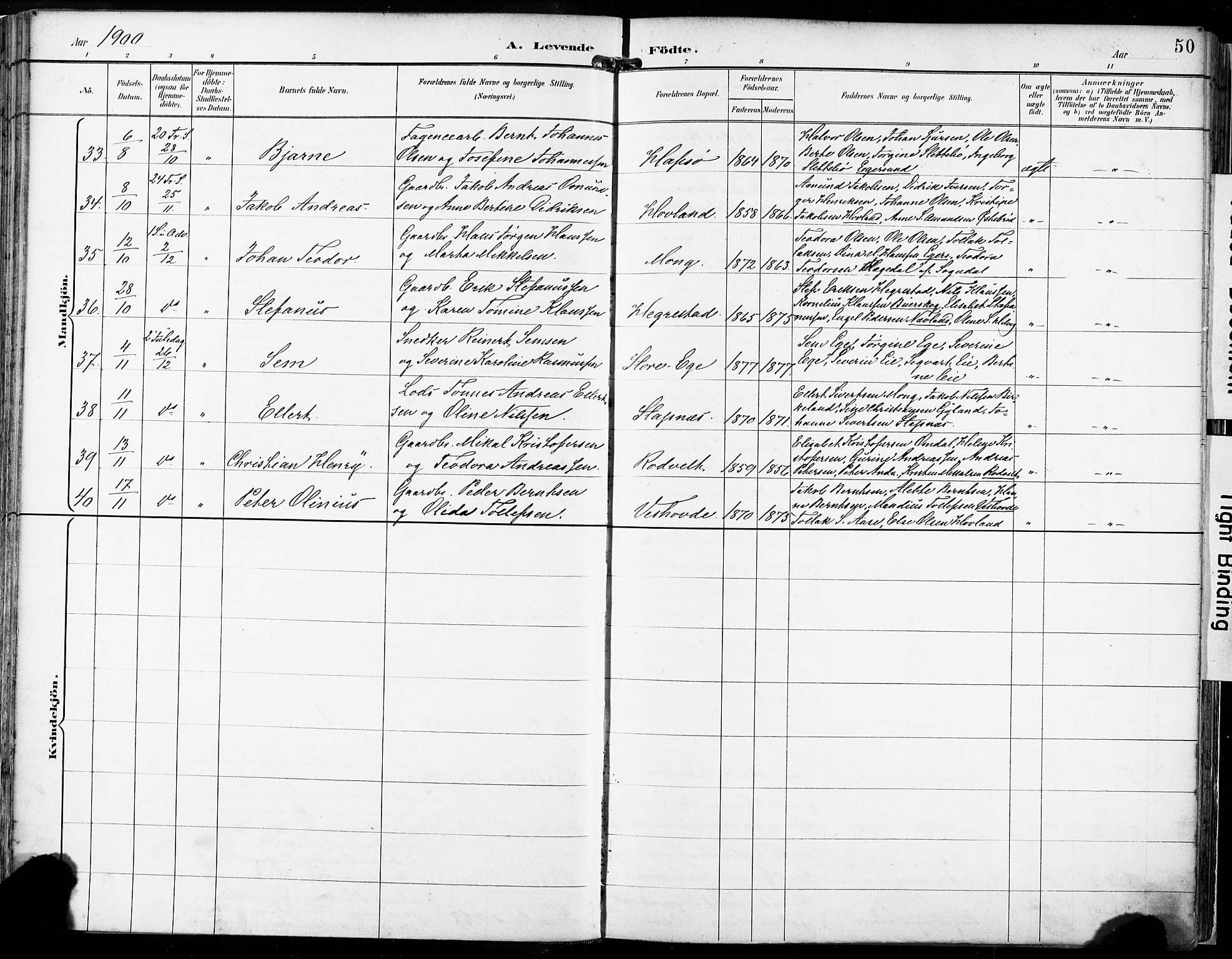 Eigersund sokneprestkontor, SAST/A-101807/S08/L0018: Parish register (official) no. A 17, 1892-1905, p. 50
