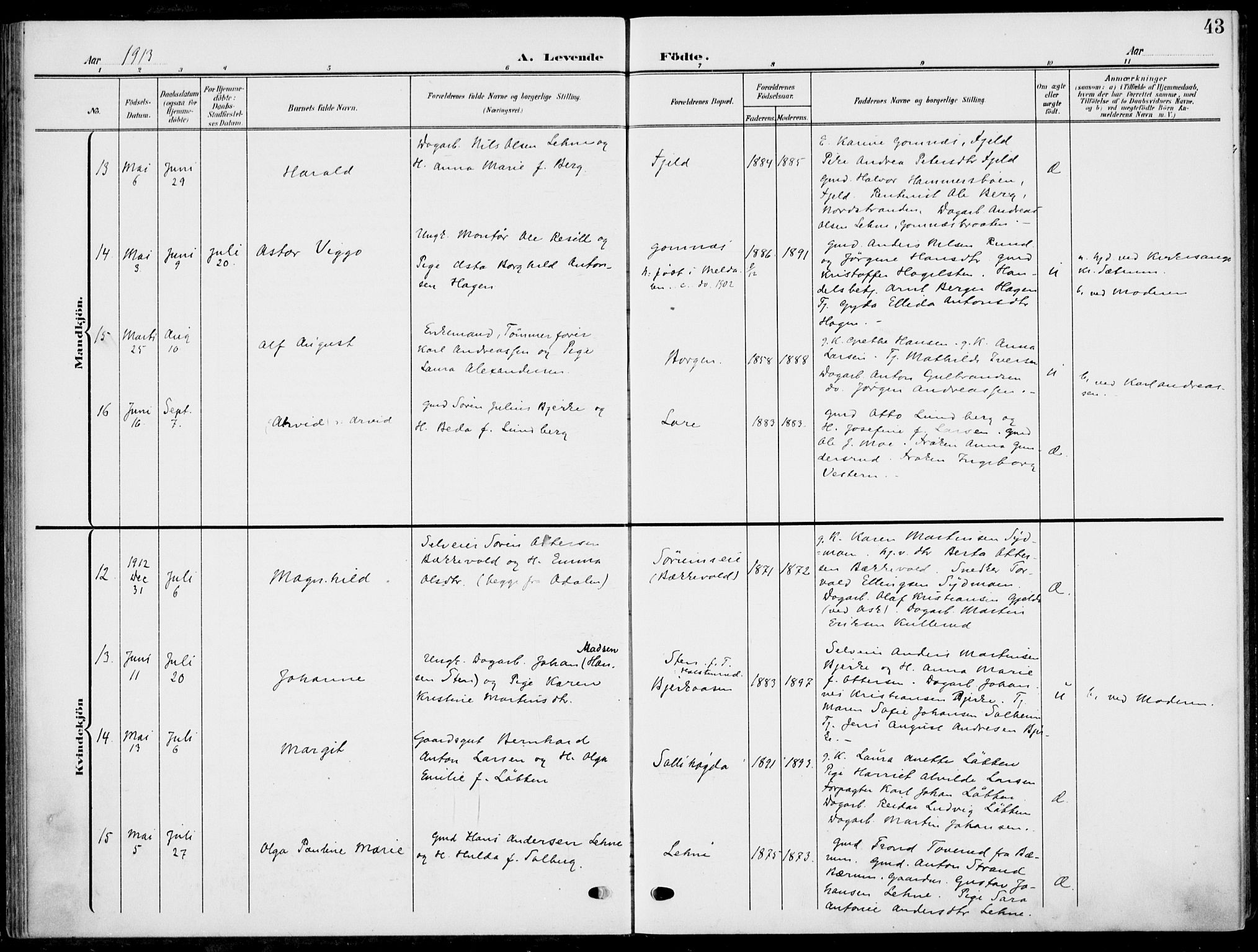 Hole kirkebøker, AV/SAKO-A-228/F/Fa/L0010: Parish register (official) no. I 10, 1907-1917, p. 43