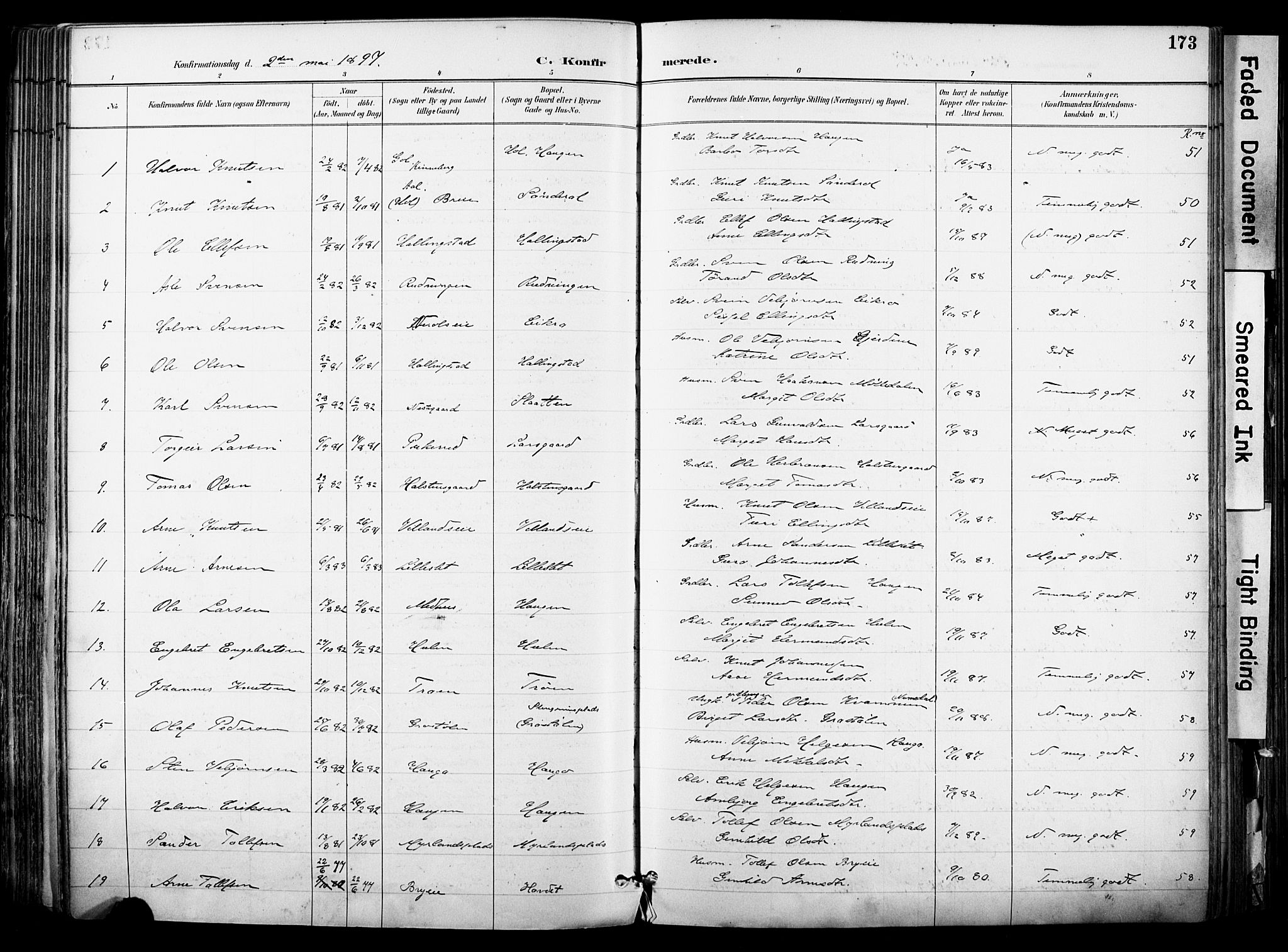 Hol kirkebøker, AV/SAKO-A-227/F/Fa/L0003: Parish register (official) no. I 3, 1887-1918, p. 173