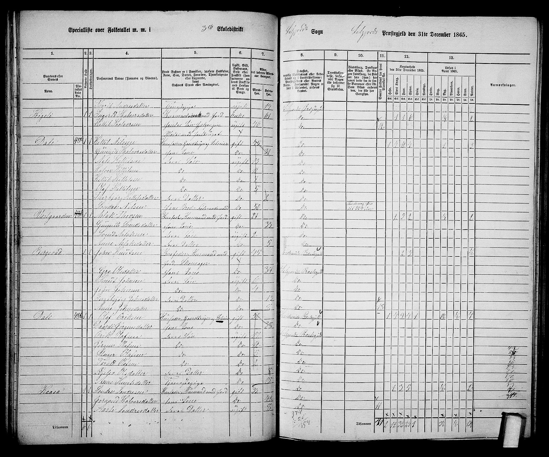 RA, 1865 census for Seljord, 1865, p. 53