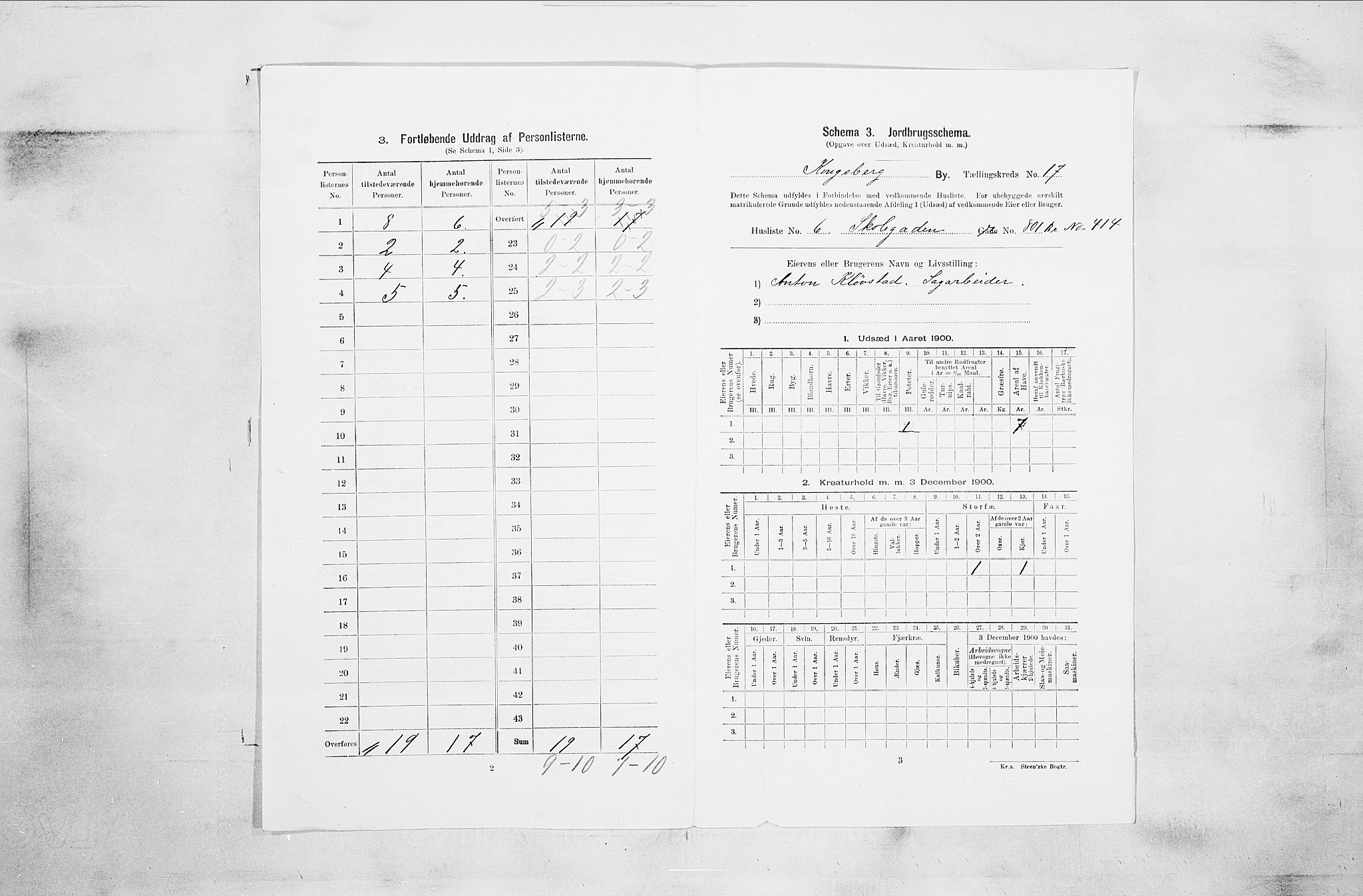 RA, 1900 census for Kongsberg, 1900, p. 3369