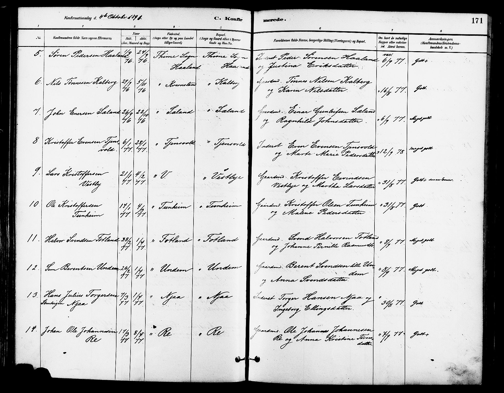 Lye sokneprestkontor, AV/SAST-A-101794/001/30BA/L0009: Parish register (official) no. A 8, 1881-1892, p. 171