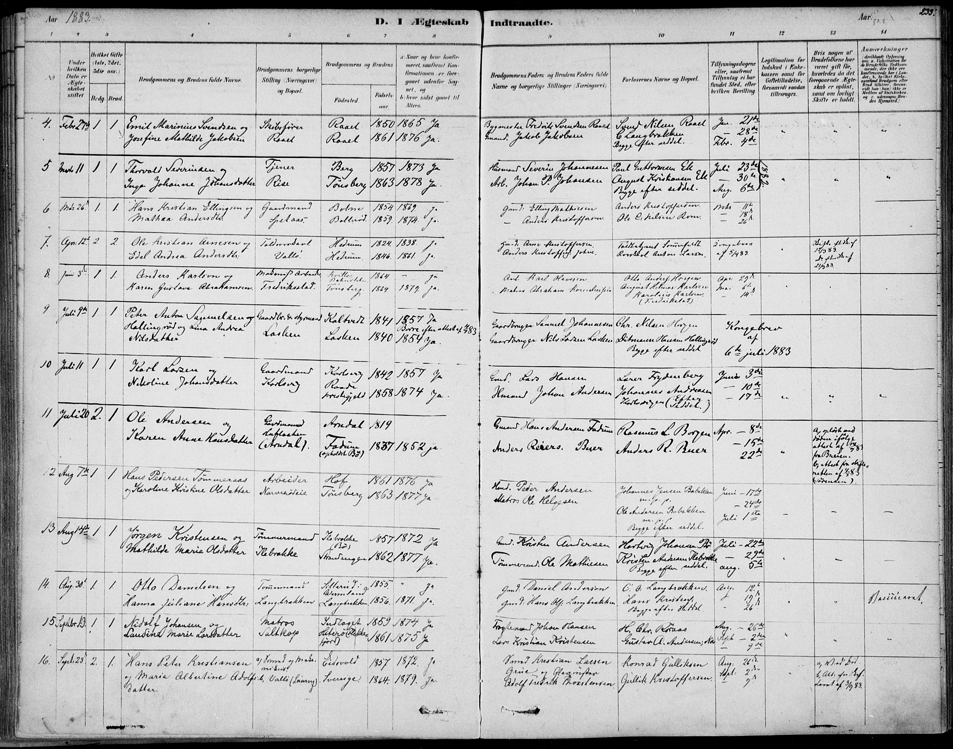 Sem kirkebøker, AV/SAKO-A-5/F/Fb/L0004: Parish register (official) no. II 4, 1878-1891, p. 233