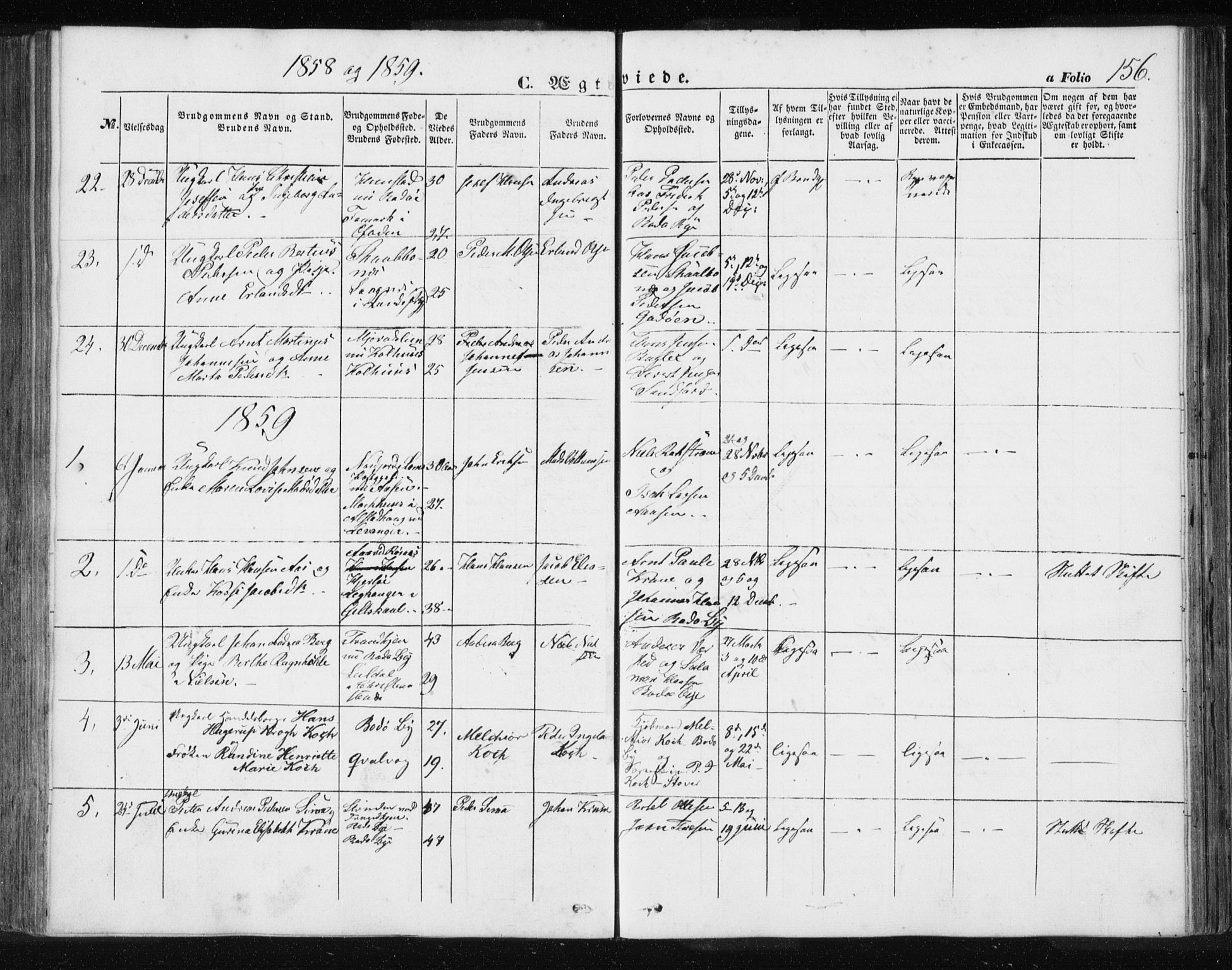 Ministerialprotokoller, klokkerbøker og fødselsregistre - Nordland, SAT/A-1459/801/L0028: Parish register (copy) no. 801C03, 1855-1867, p. 156