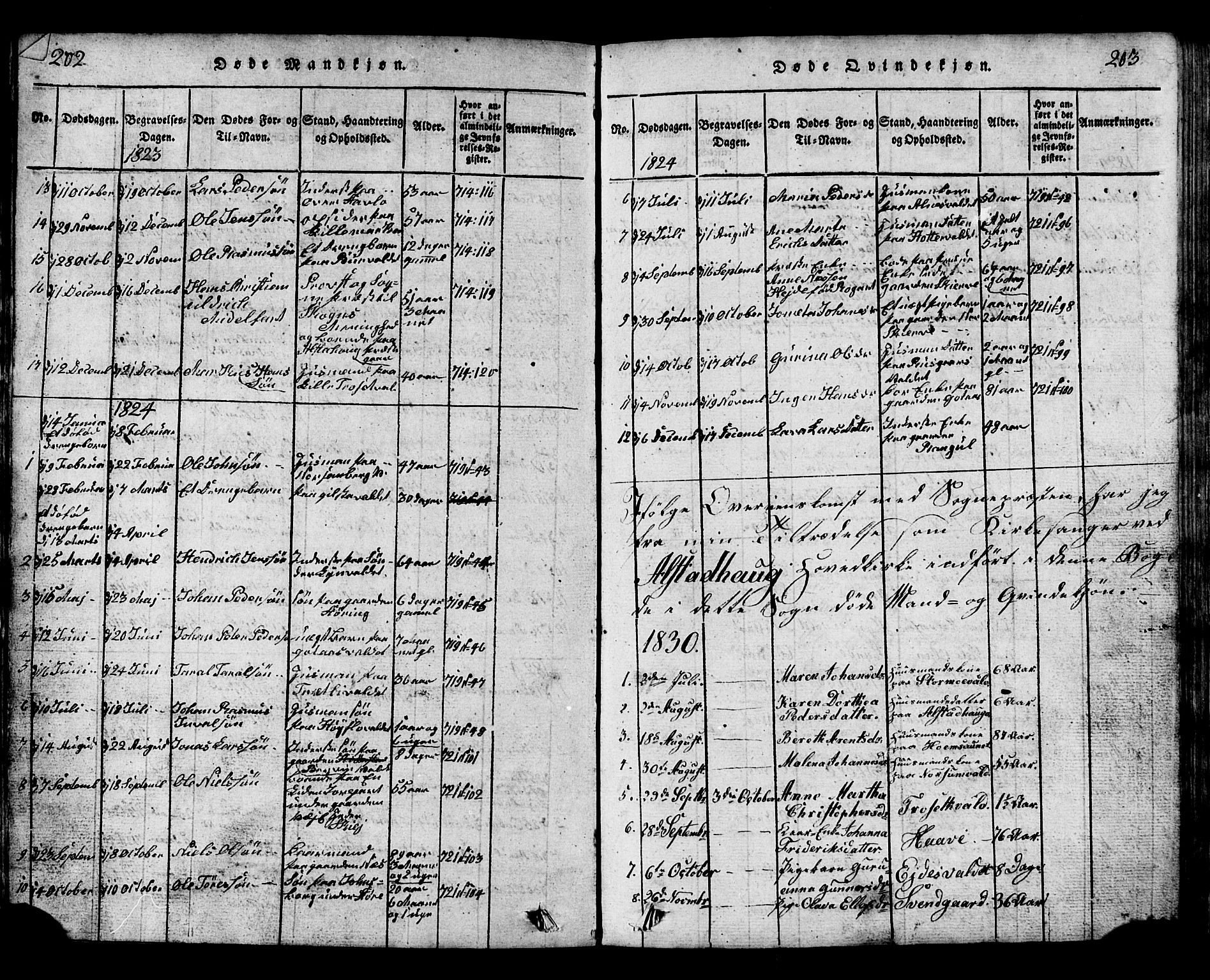 Ministerialprotokoller, klokkerbøker og fødselsregistre - Nord-Trøndelag, SAT/A-1458/717/L0169: Parish register (copy) no. 717C01, 1816-1834, p. 202-203