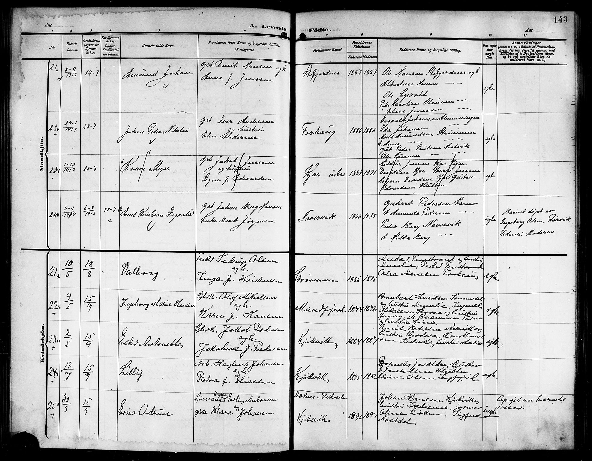 Ministerialprotokoller, klokkerbøker og fødselsregistre - Nordland, AV/SAT-A-1459/861/L0877: Parish register (copy) no. 861C03, 1903-1919, p. 143