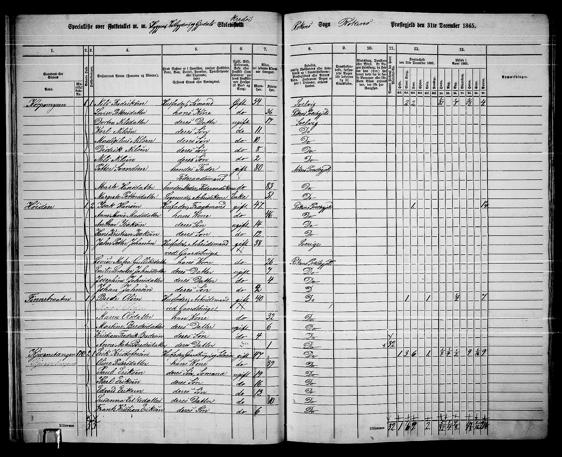 RA, 1865 census for Røyken, 1865, p. 30