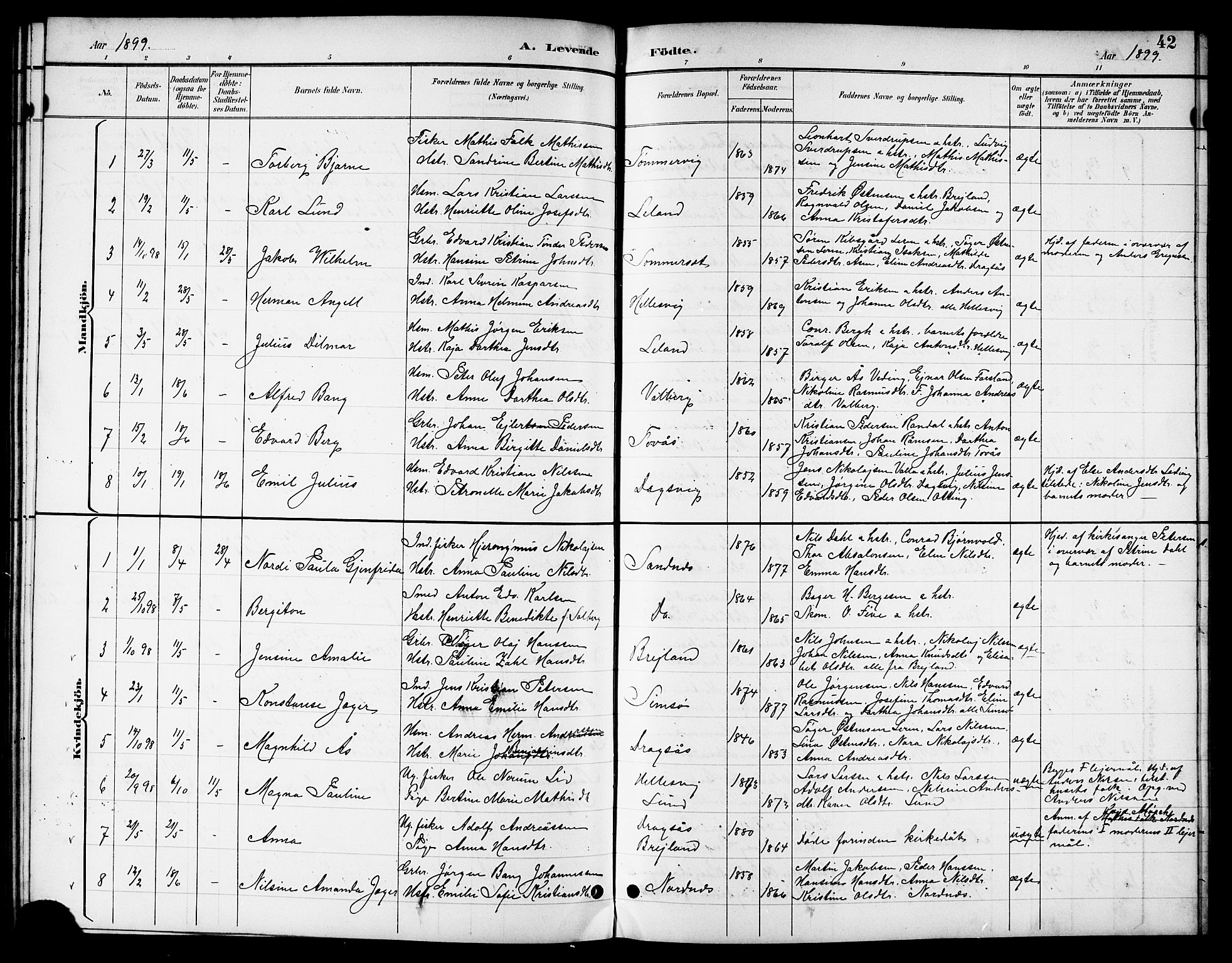 Ministerialprotokoller, klokkerbøker og fødselsregistre - Nordland, SAT/A-1459/831/L0478: Parish register (copy) no. 831C05, 1892-1909, p. 42