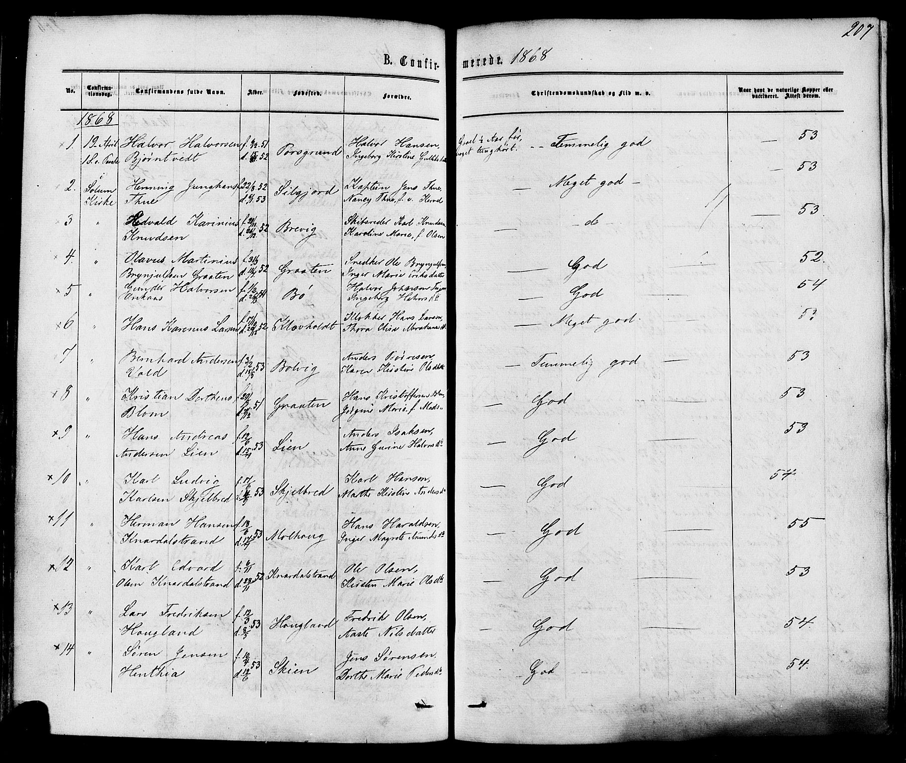 Solum kirkebøker, SAKO/A-306/F/Fa/L0008: Parish register (official) no. I 8, 1865-1876, p. 207