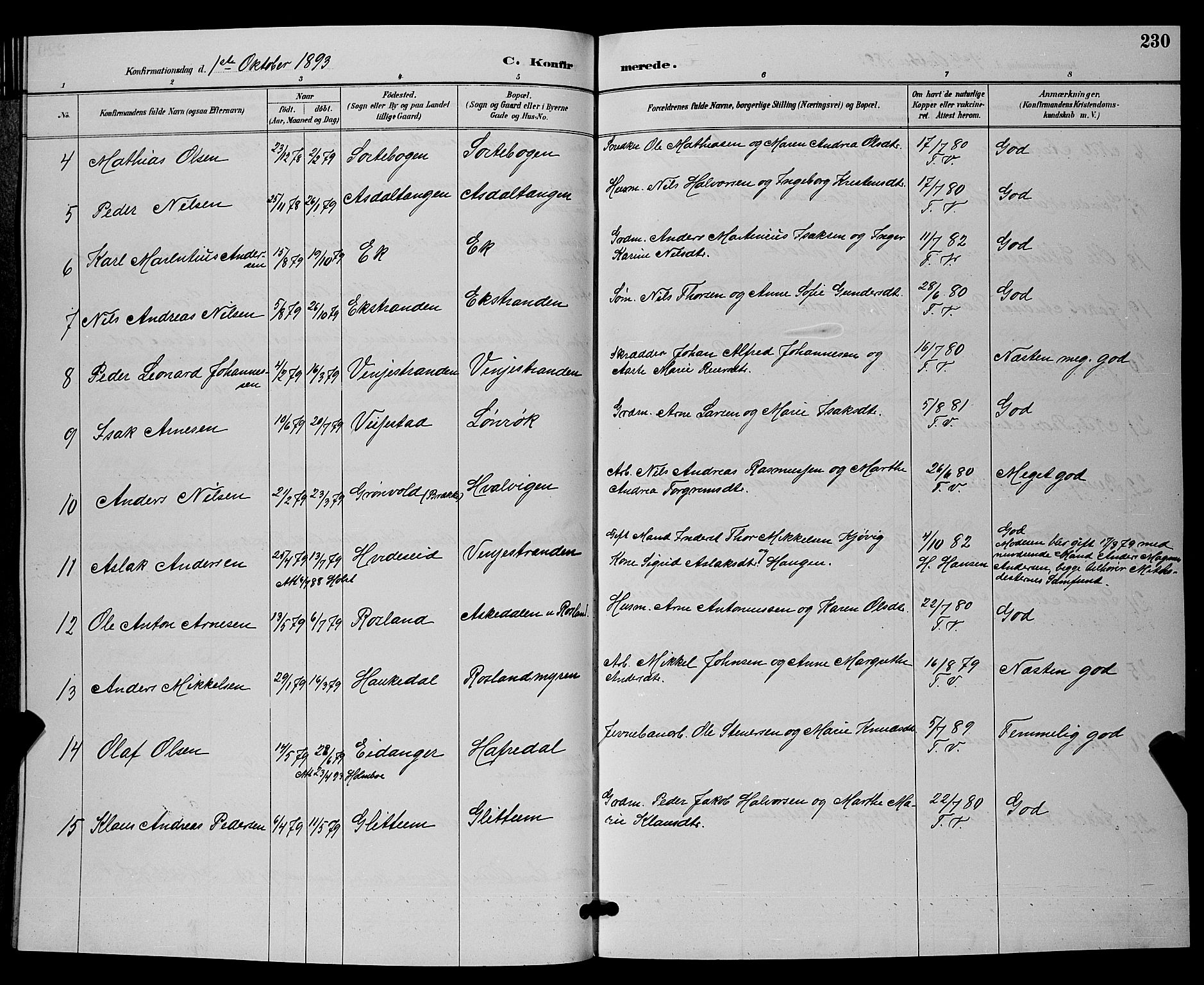 Bamble kirkebøker, AV/SAKO-A-253/G/Ga/L0009: Parish register (copy) no. I 9, 1888-1900, p. 230