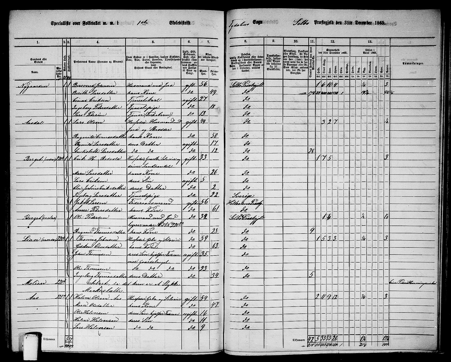 RA, 1865 census for Selbu, 1865, p. 229