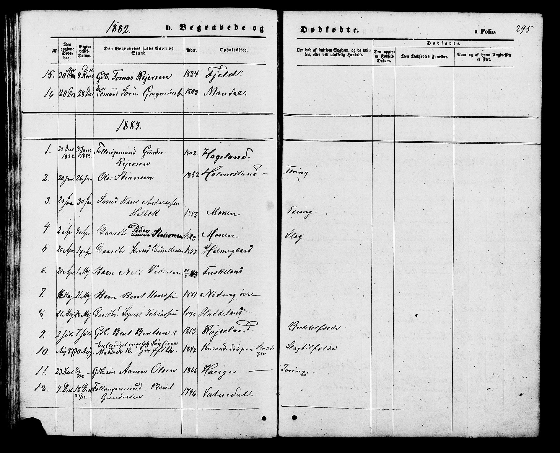 Holum sokneprestkontor, AV/SAK-1111-0022/F/Fb/Fba/L0004: Parish register (copy) no. B 4, 1867-1890, p. 295