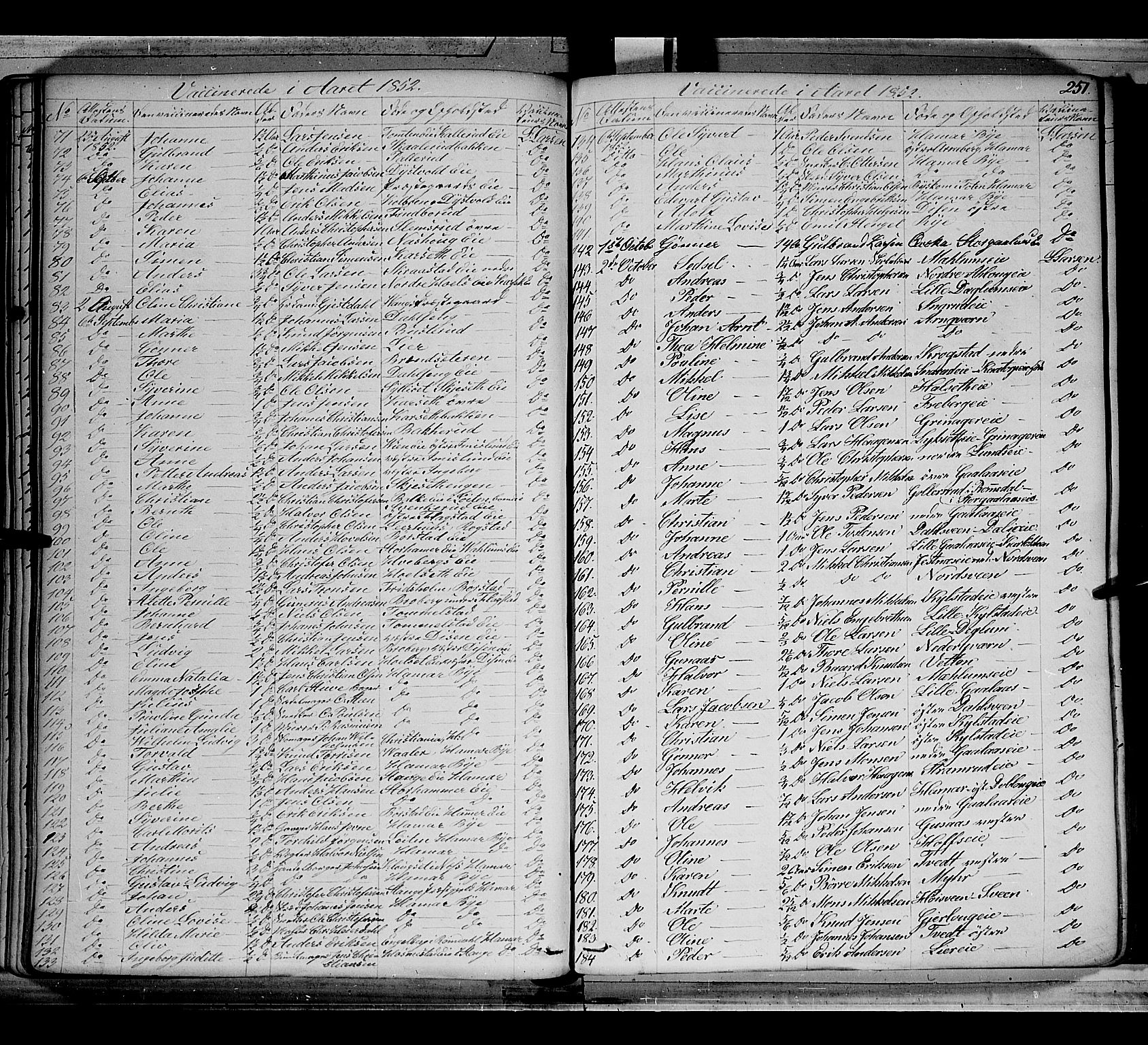 Vang prestekontor, Hedmark, AV/SAH-PREST-008/H/Ha/Haa/L0010: Parish register (official) no. 10, 1841-1855, p. 251