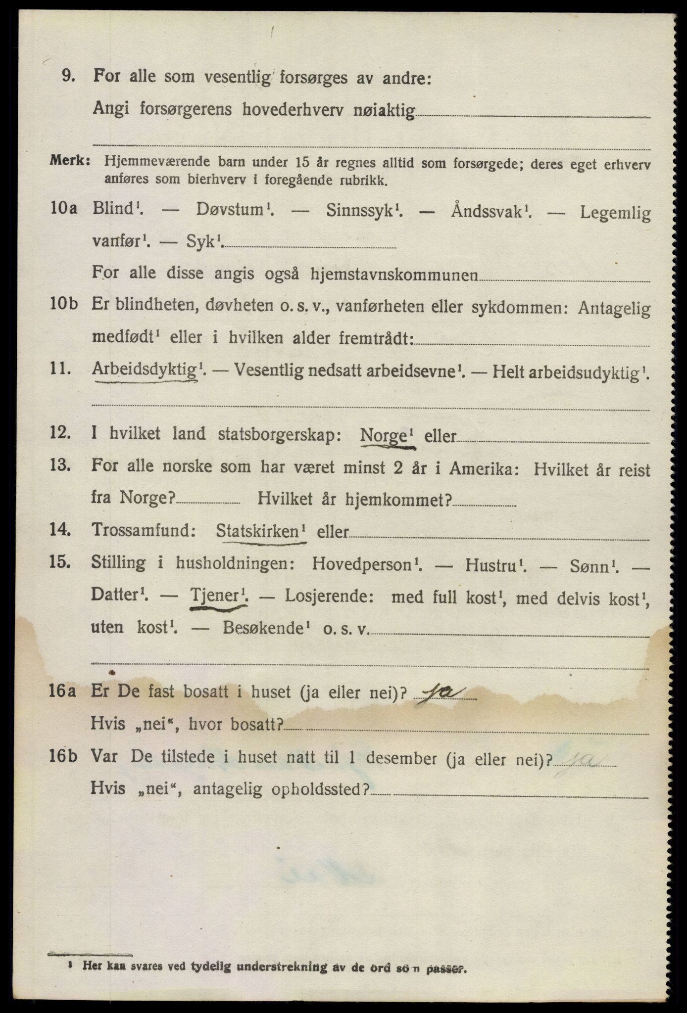 SAO, 1920 census for Nes, 1920, p. 13421