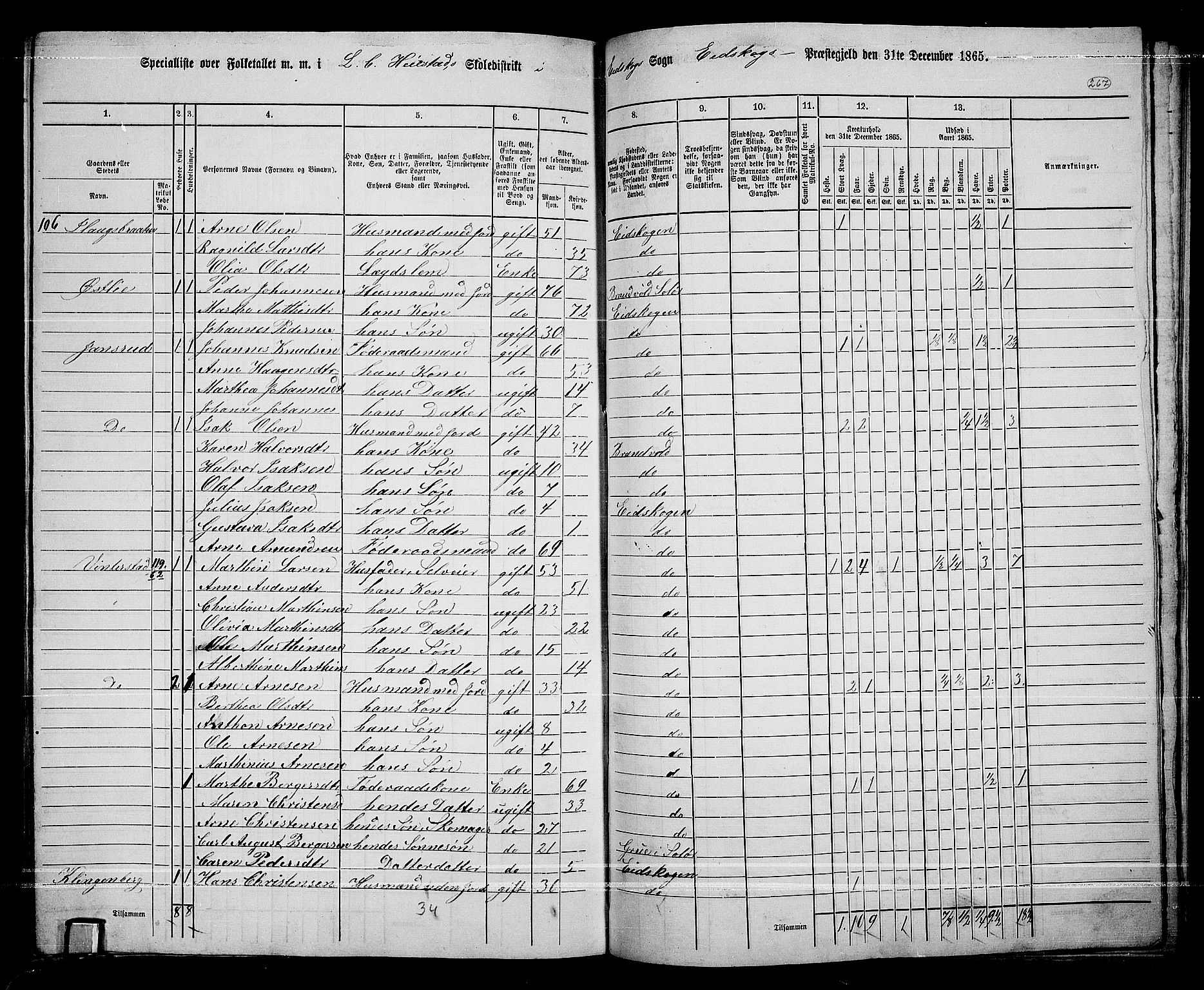 RA, 1865 census for Eidskog, 1865, p. 243