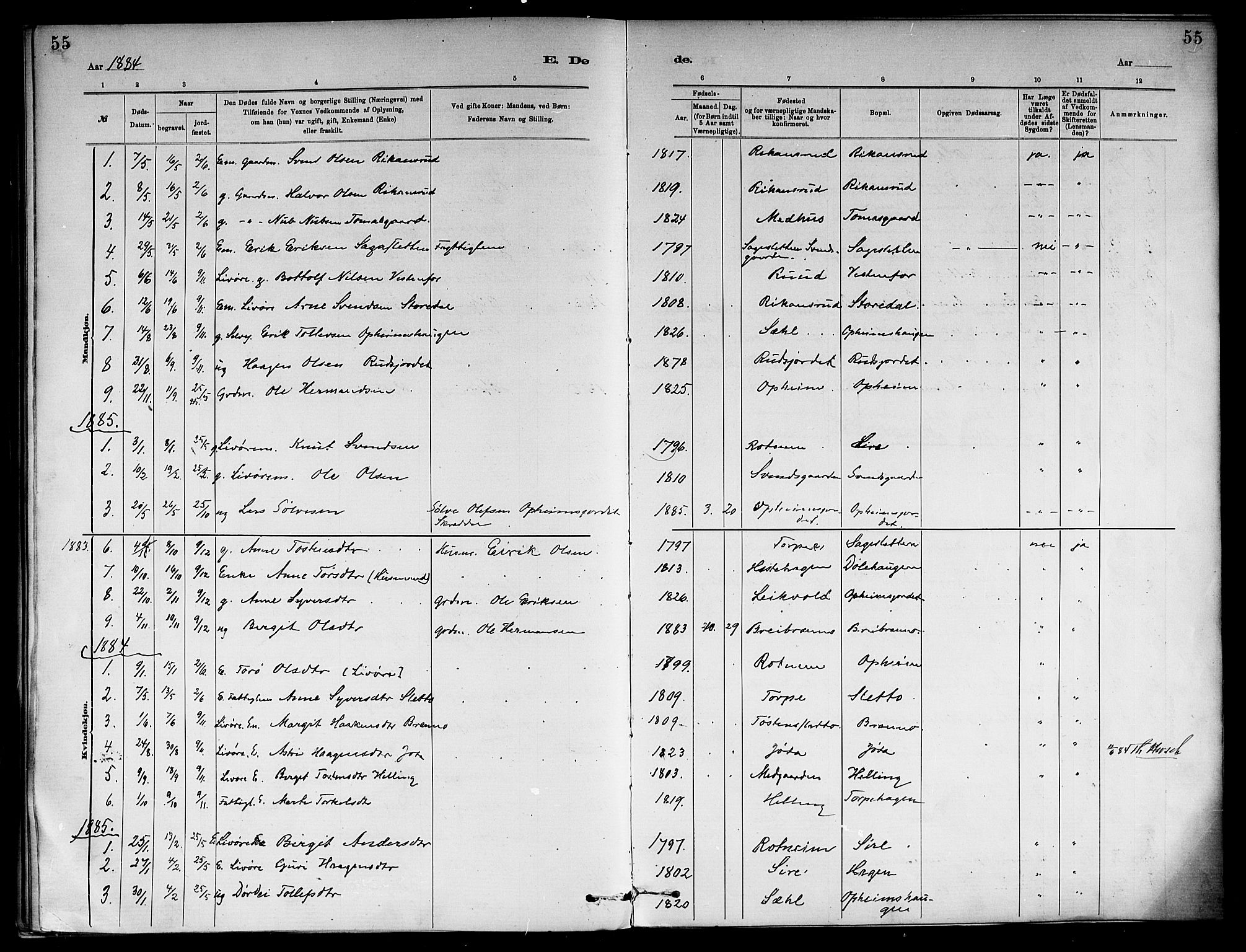 Ål kirkebøker, AV/SAKO-A-249/F/Fb/L0001: Parish register (official) no. II 1, 1882-1899, p. 55