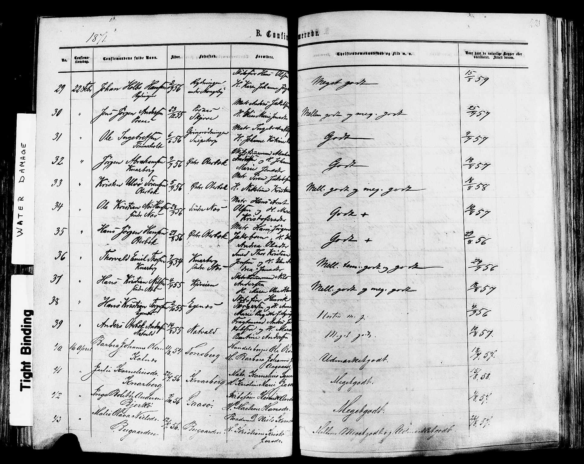 Nøtterøy kirkebøker, AV/SAKO-A-354/F/Fa/L0007: Parish register (official) no. I 7, 1865-1877, p. 223