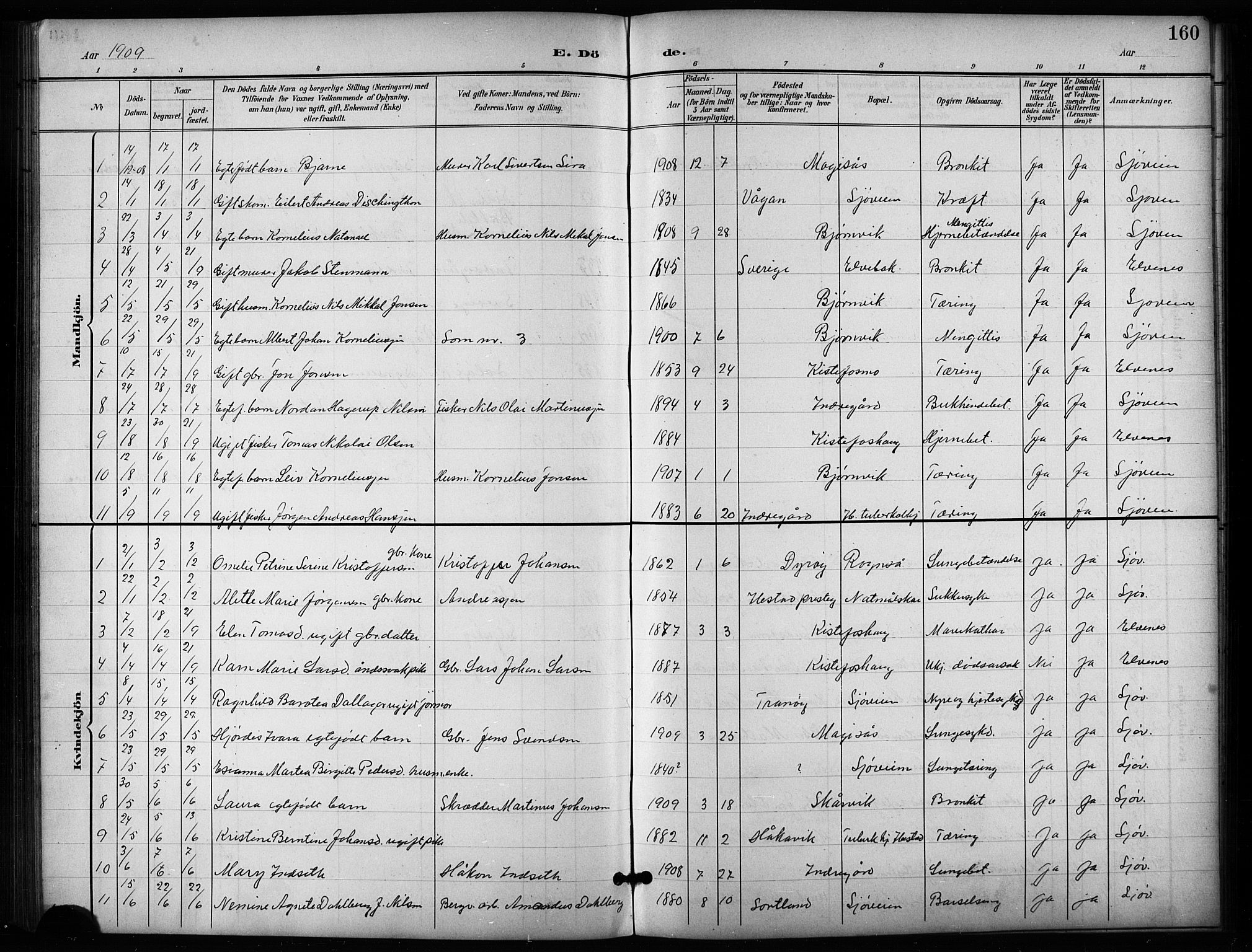 Salangen sokneprestembete, SATØ/S-1324/H/Ha/L0004klokker: Parish register (copy) no. 4, 1900-1924, p. 160