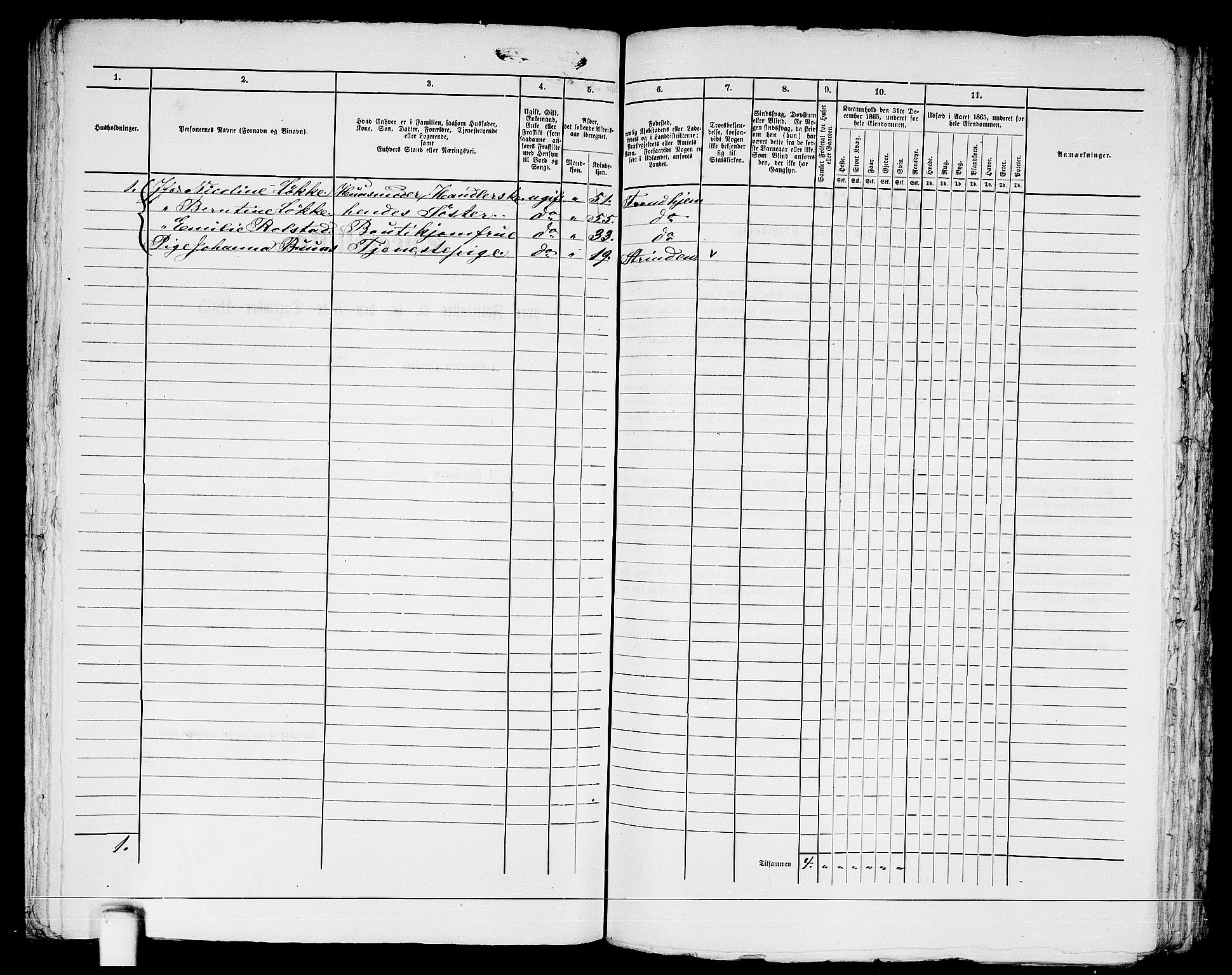 RA, 1865 census for Trondheim, 1865, p. 1292