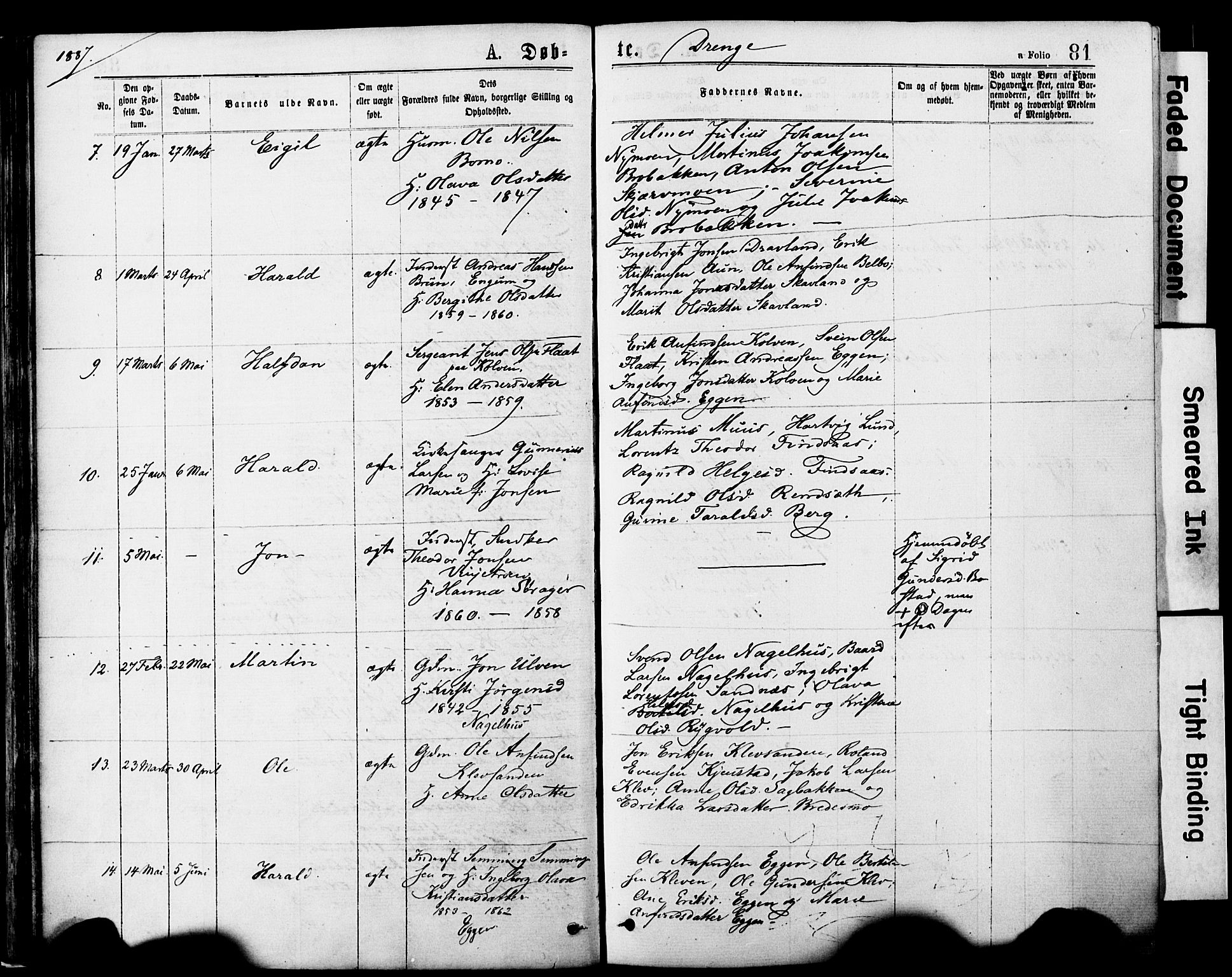 Ministerialprotokoller, klokkerbøker og fødselsregistre - Nord-Trøndelag, SAT/A-1458/749/L0473: Parish register (official) no. 749A07, 1873-1887, p. 81