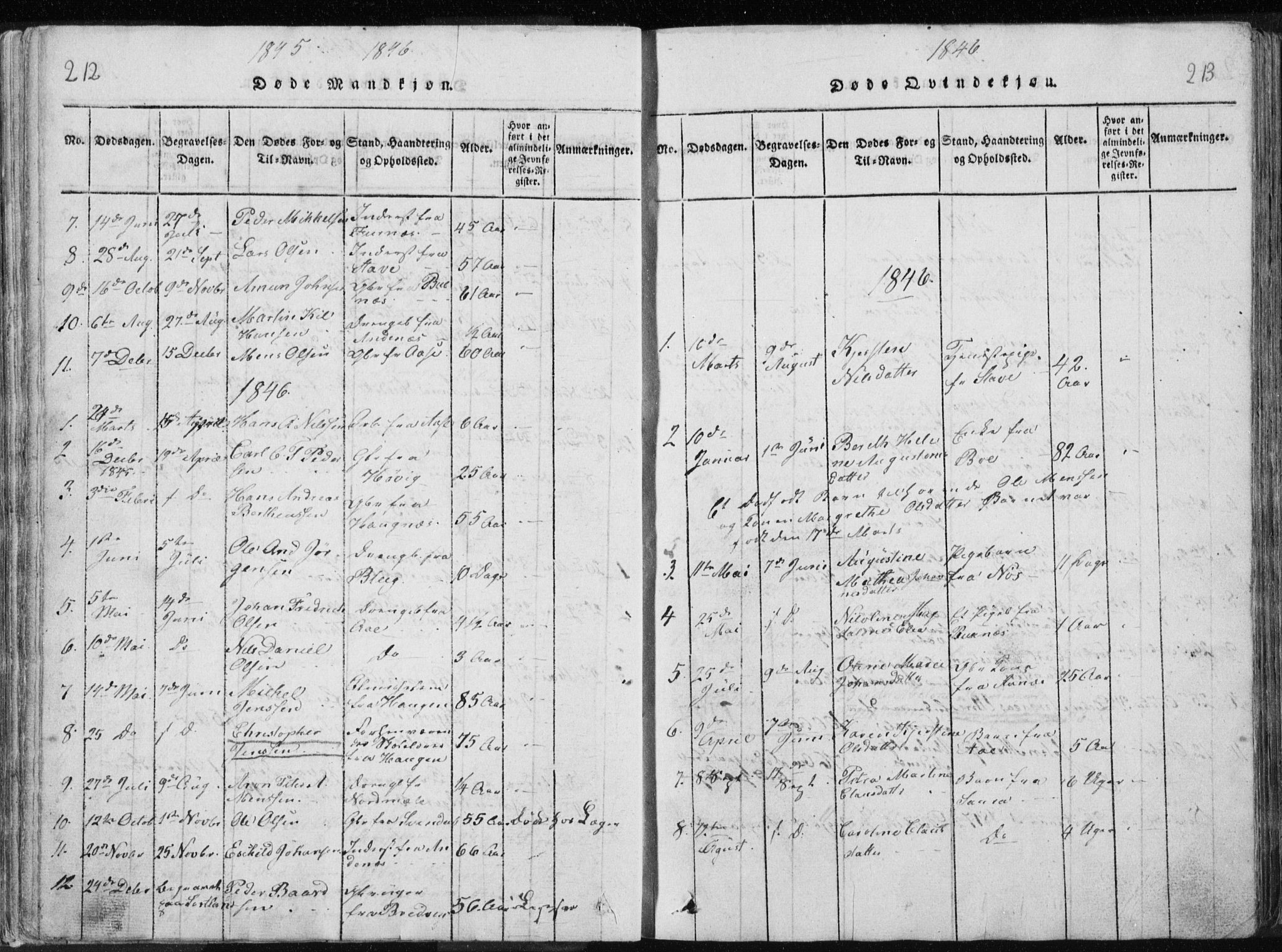 Ministerialprotokoller, klokkerbøker og fødselsregistre - Nordland, AV/SAT-A-1459/897/L1411: Parish register (copy) no. 897C01, 1820-1866, p. 212-213