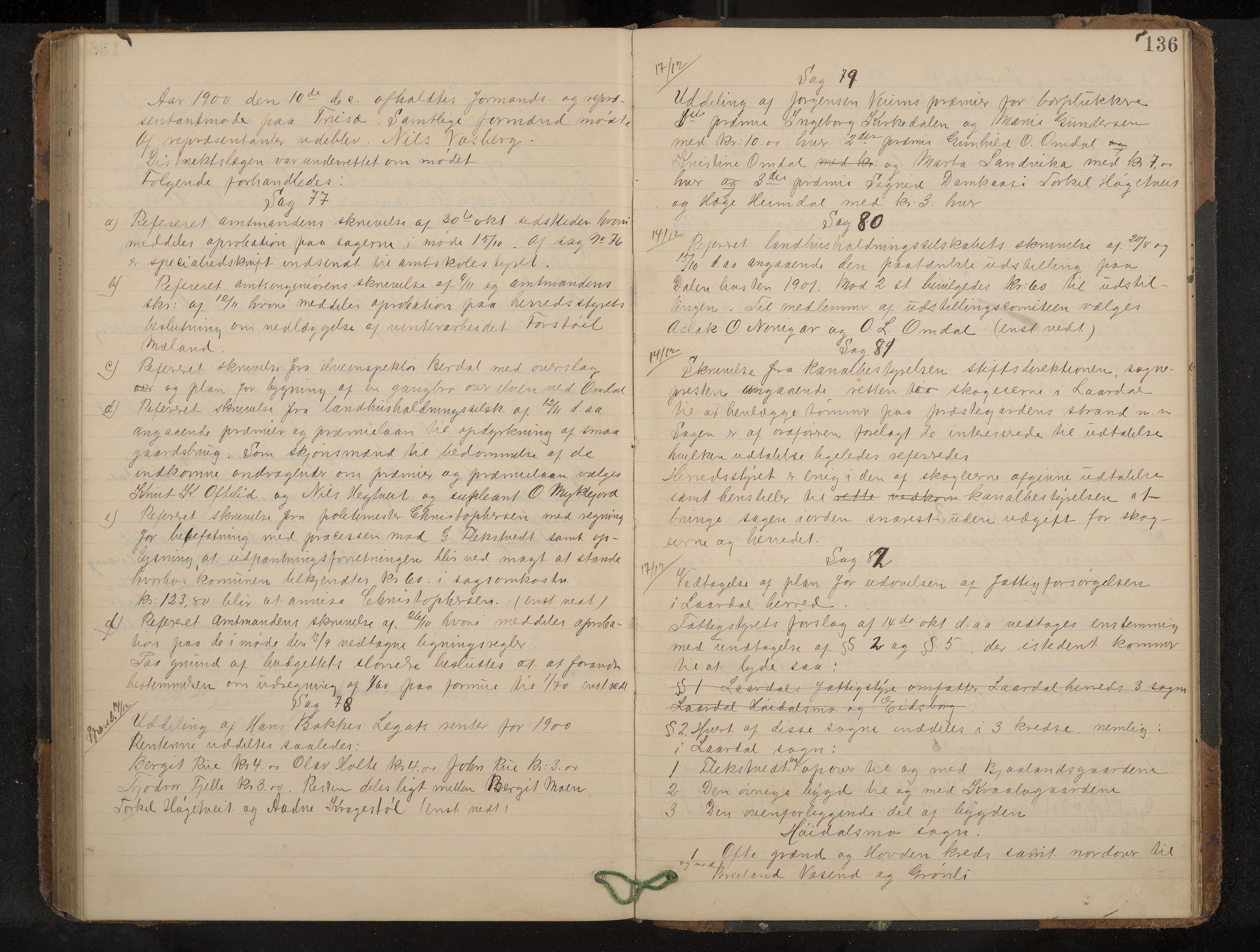 Lårdal formannskap og sentraladministrasjon, IKAK/0833021/A/L0003: Møtebok, 1893-1901, p. 136