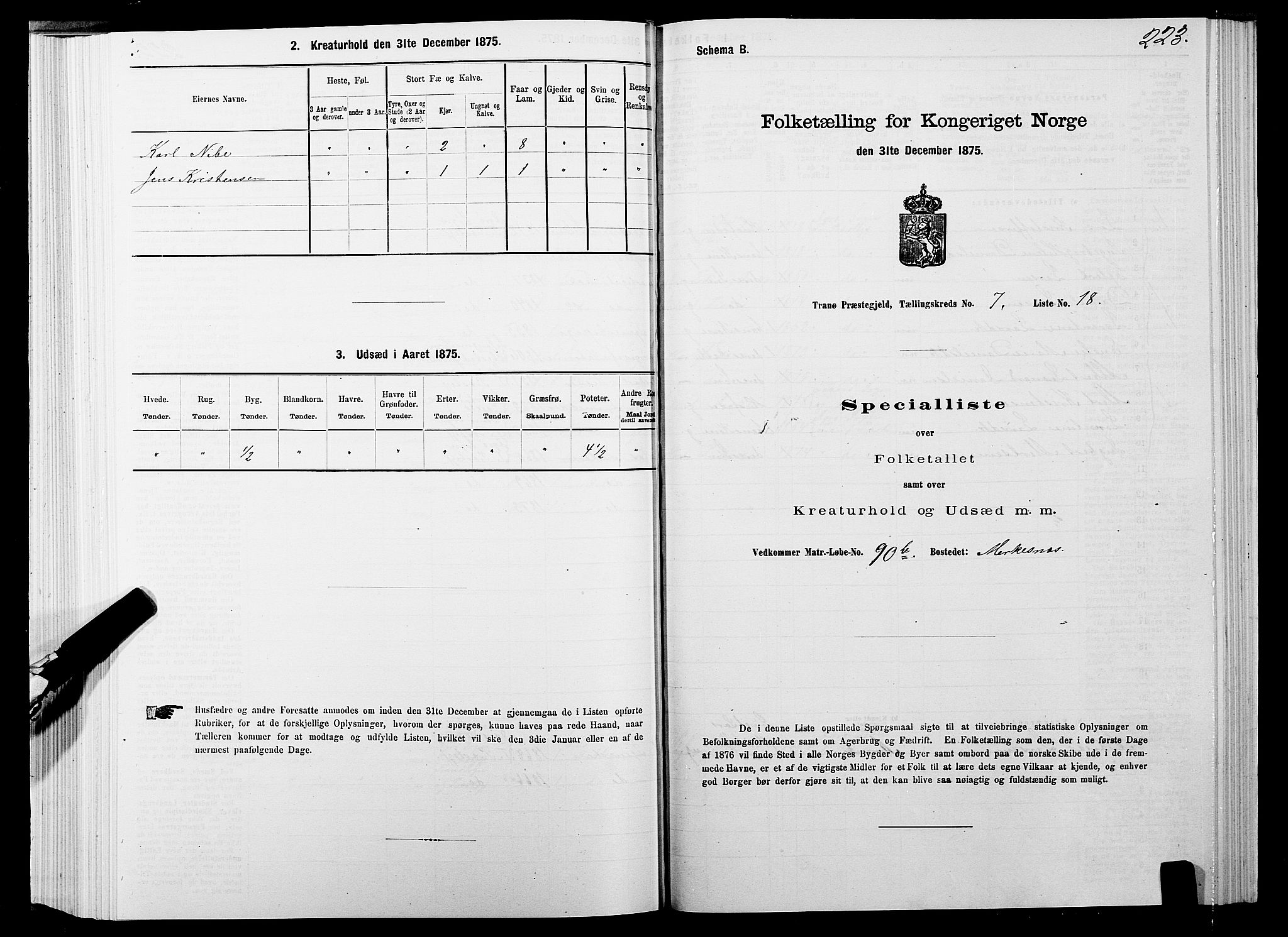 SATØ, 1875 census for 1927P Tranøy, 1875, p. 3223