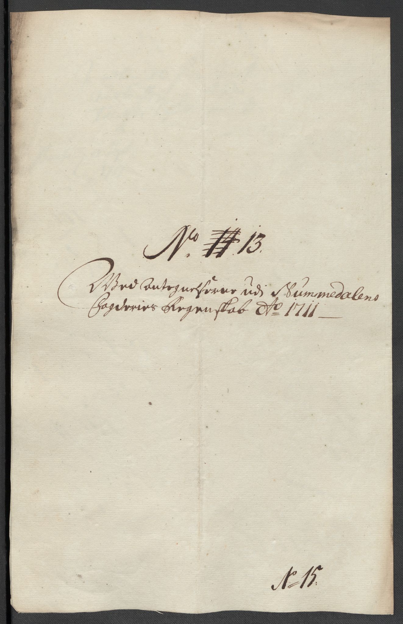 Rentekammeret inntil 1814, Reviderte regnskaper, Fogderegnskap, AV/RA-EA-4092/R64/L4432: Fogderegnskap Namdal, 1711, p. 292